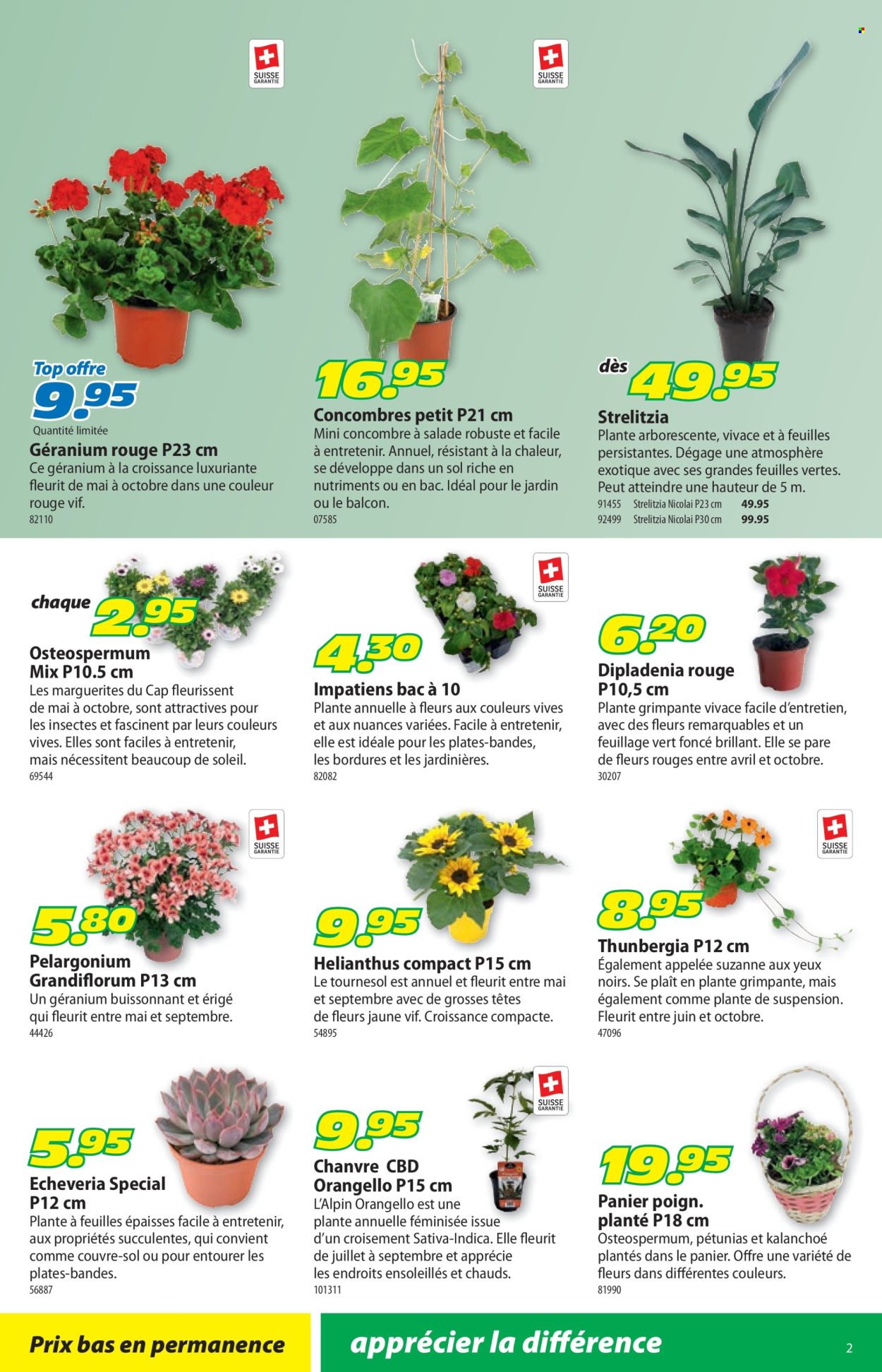 Catalogue Landi - 26.5.2025 - 8.6.2025. Page 6