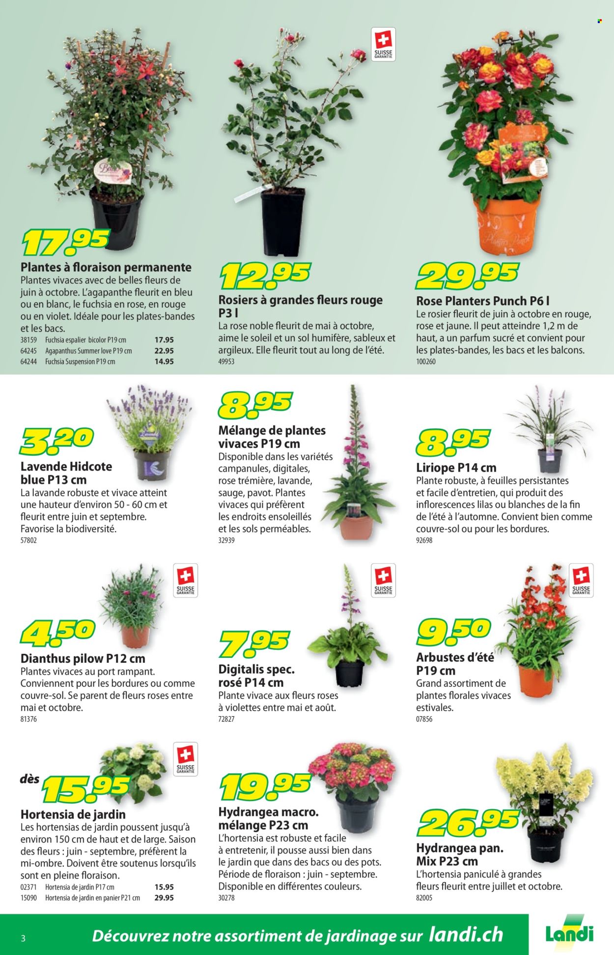 Catalogue Landi - 26.5.2025 - 8.6.2025. Page 7