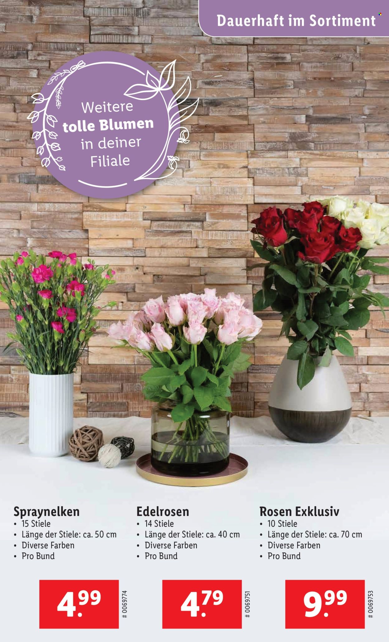 Catalogue Lidl - 5.6.2025 - 11.6.2025. Page 29