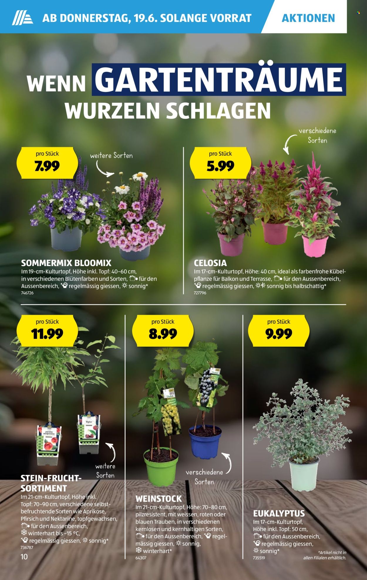 Volantino Aldi - 19.6.2025 - 25.6.2025. Pagina 10