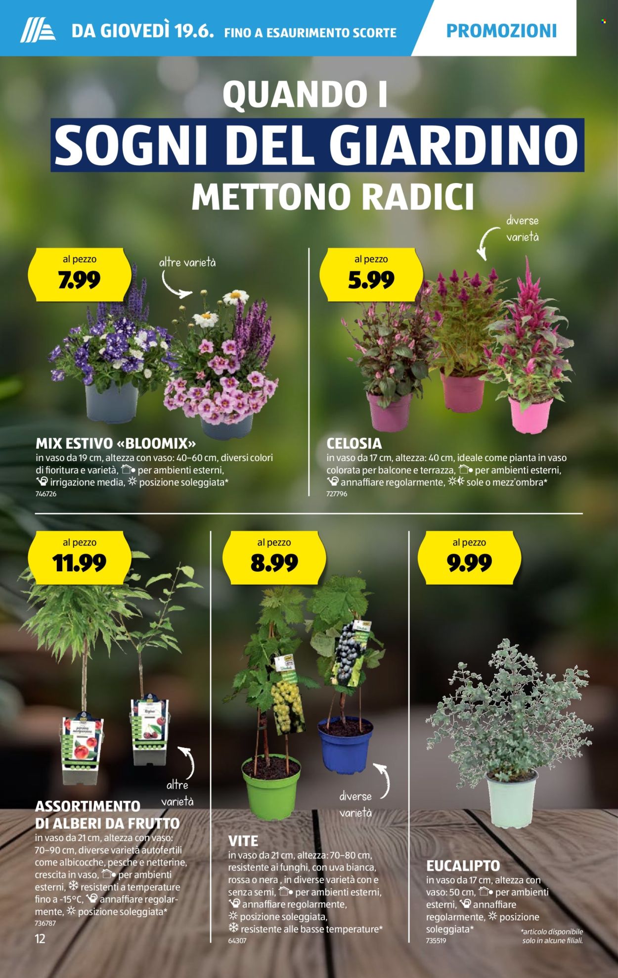 Volantino Aldi - 19.6.2025 - 25.6.2025. Pagina 12