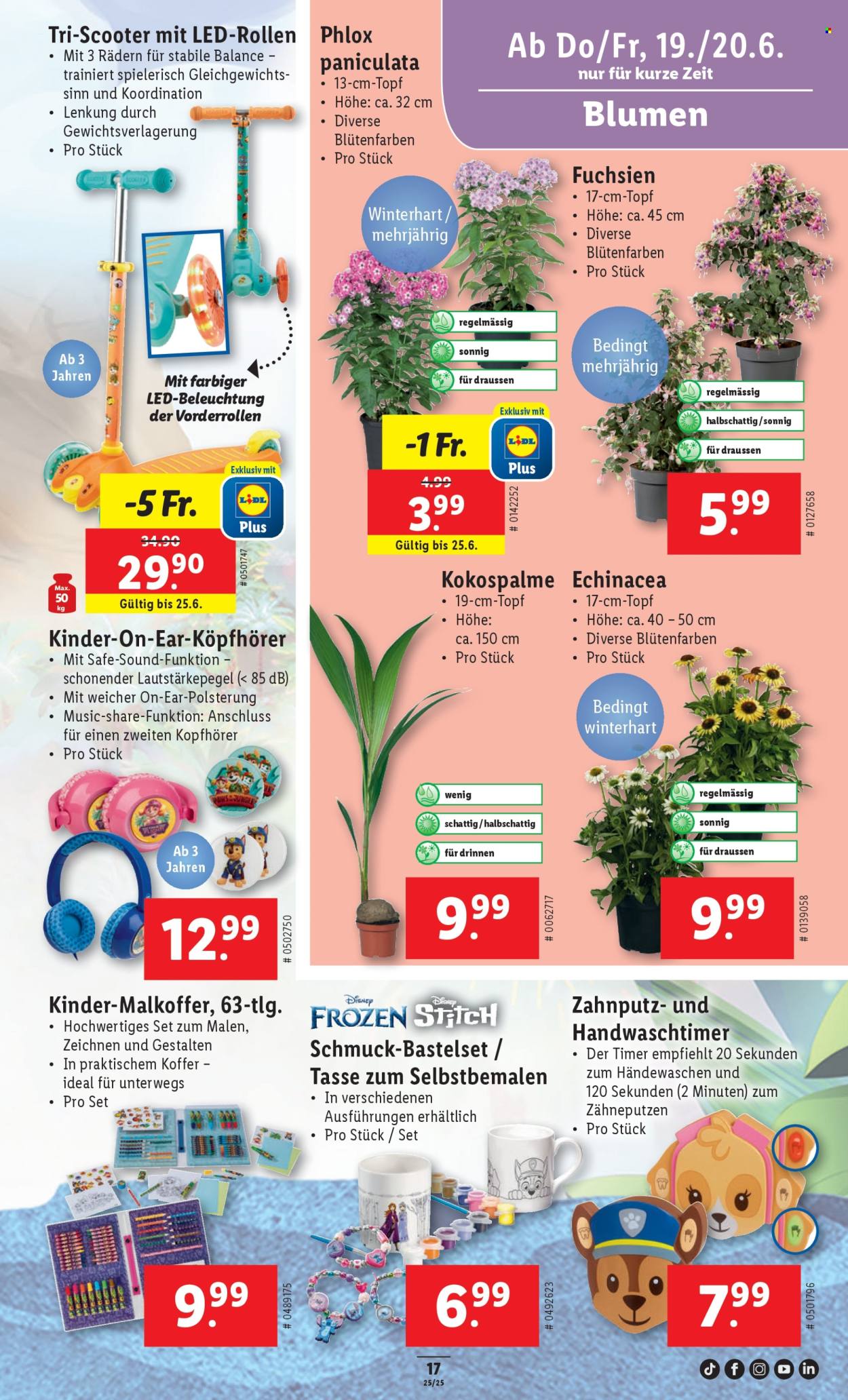 Prospekt Lidl - 19.6.2025 - 25.6.2025. Seite 17