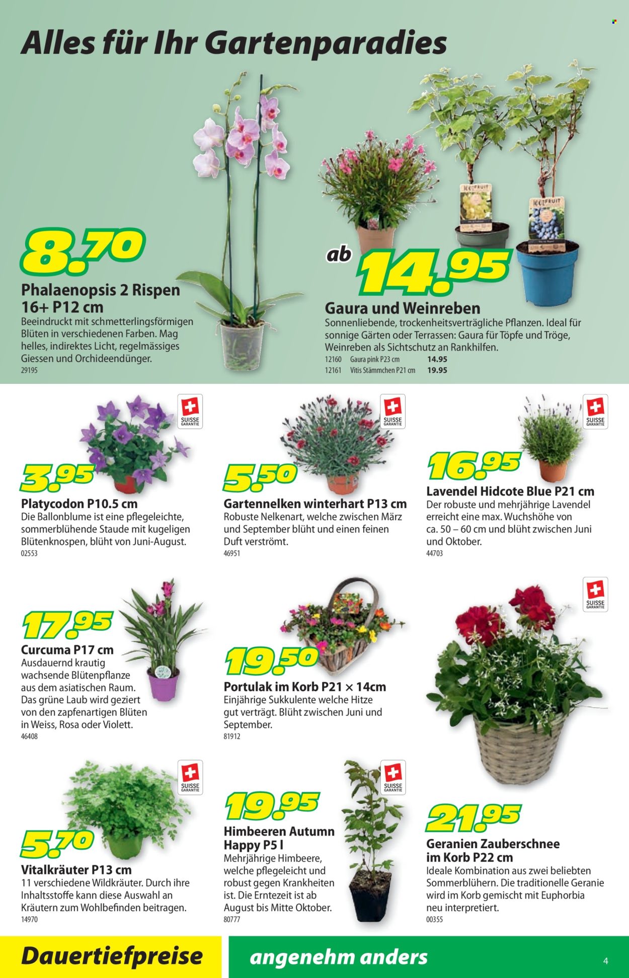 Volantino Landi - 23.6.2025 - 6.7.2025. Pagina 8