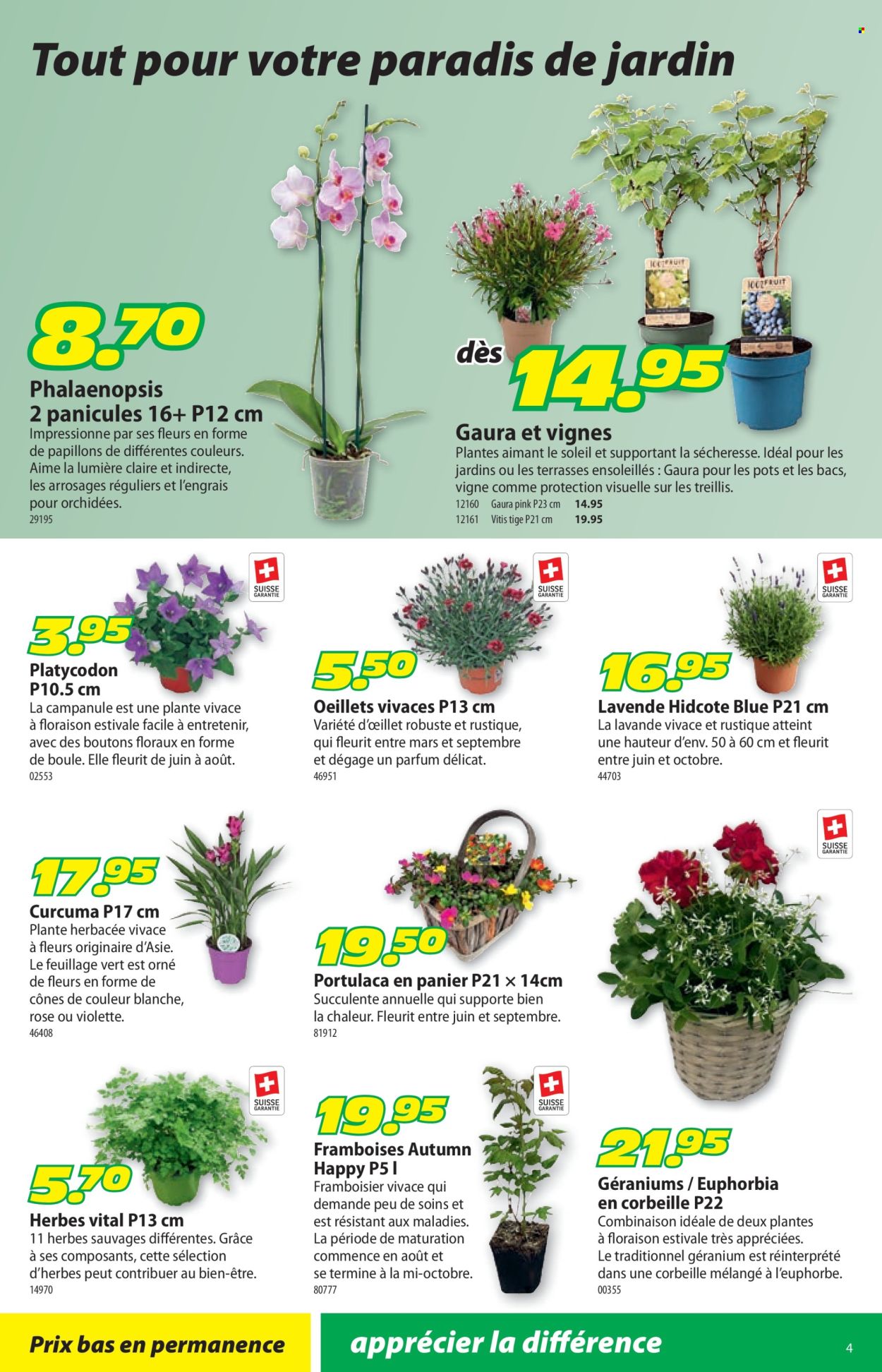 Volantino Landi - 23.6.2025 - 6.7.2025. Pagina 8
