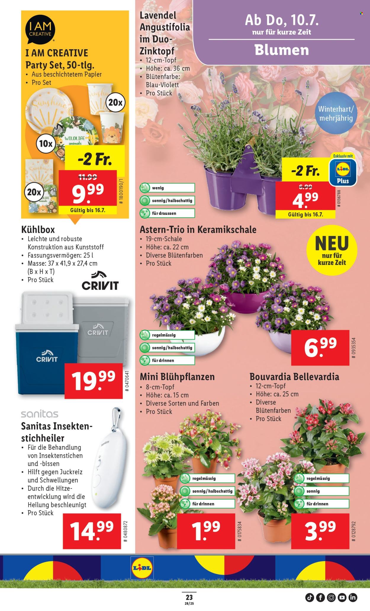 Prospekt Lidl - 10.7.2025 - 16.7.2025. Seite 25