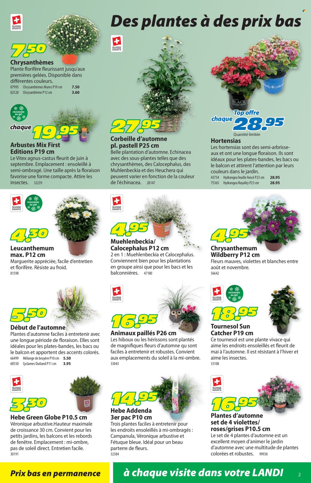 Volantino Landi - 18.8.2025 - 17.9.2025. Pagina 2