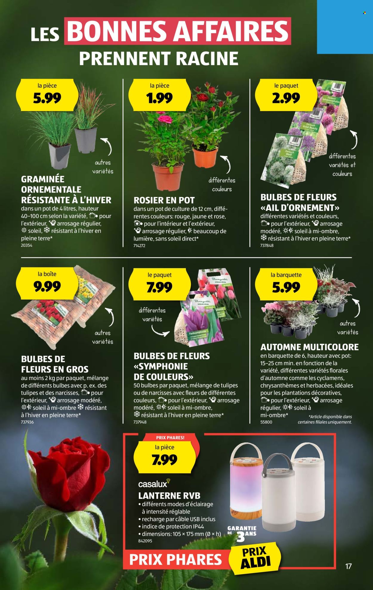 Volantino Aldi - 28.8.2025 - 3.9.2025. Pagina 17