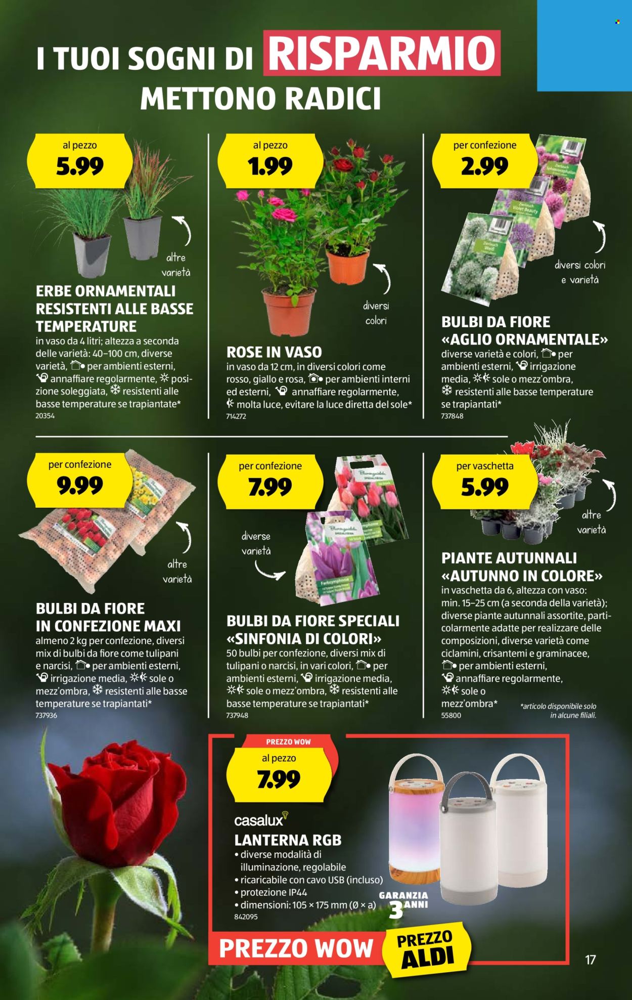 Volantino Aldi - 28.8.2025 - 3.9.2025. Pagina 17