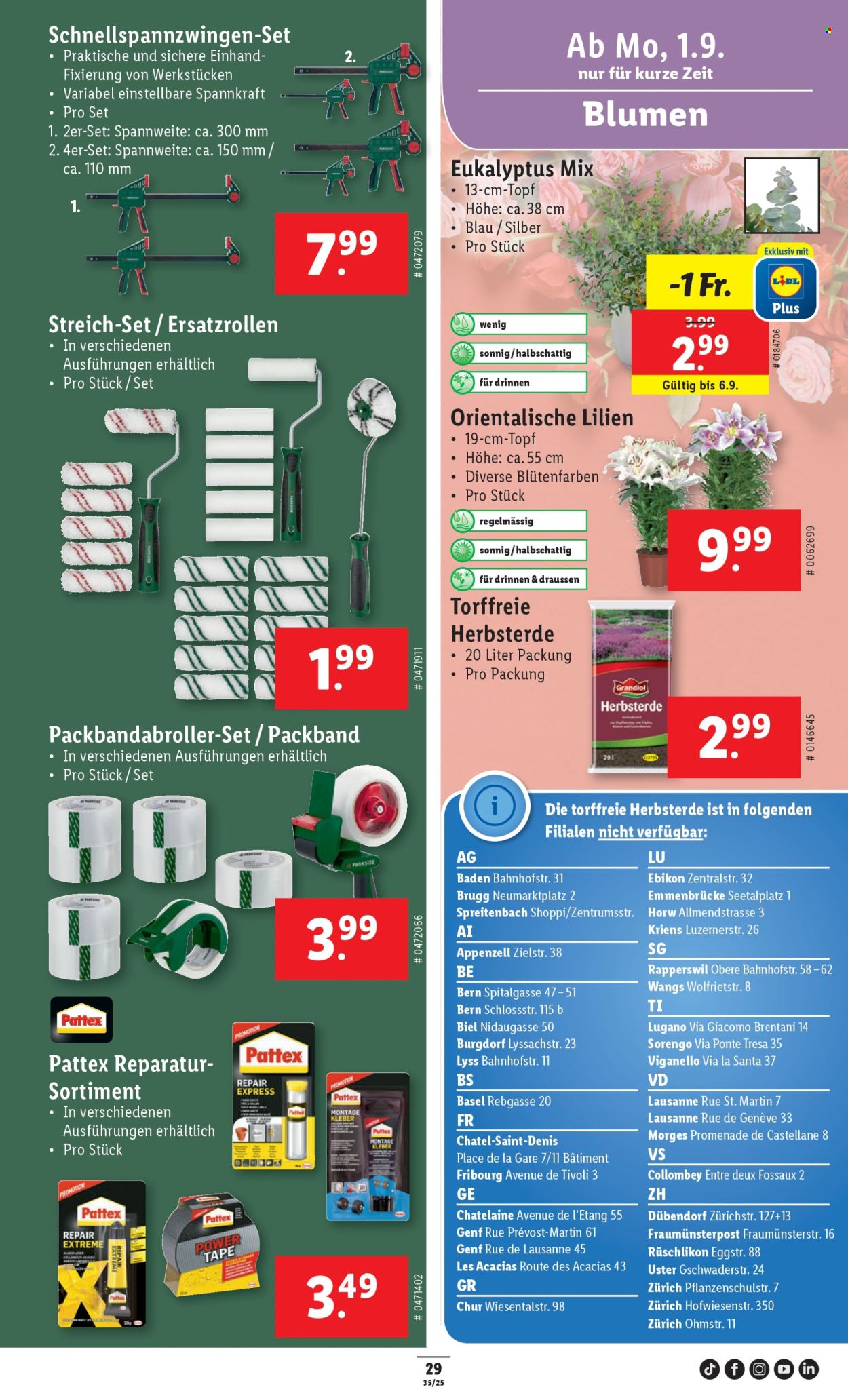 Volantino Lidl - 28.8.2025 - 3.9.2025. Pagina 31