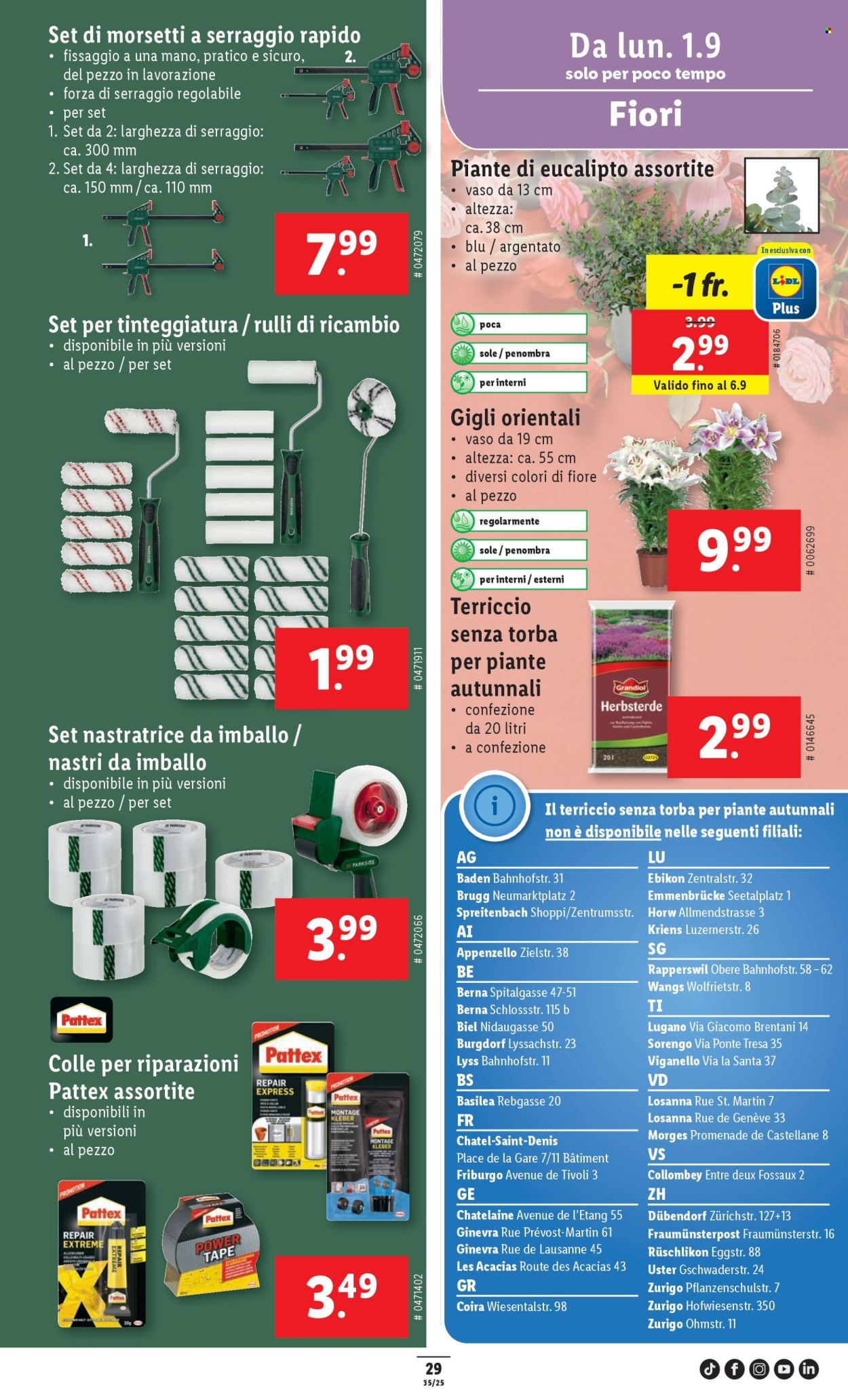 Volantino Lidl - 28.8.2025 - 3.9.2025. Pagina 31