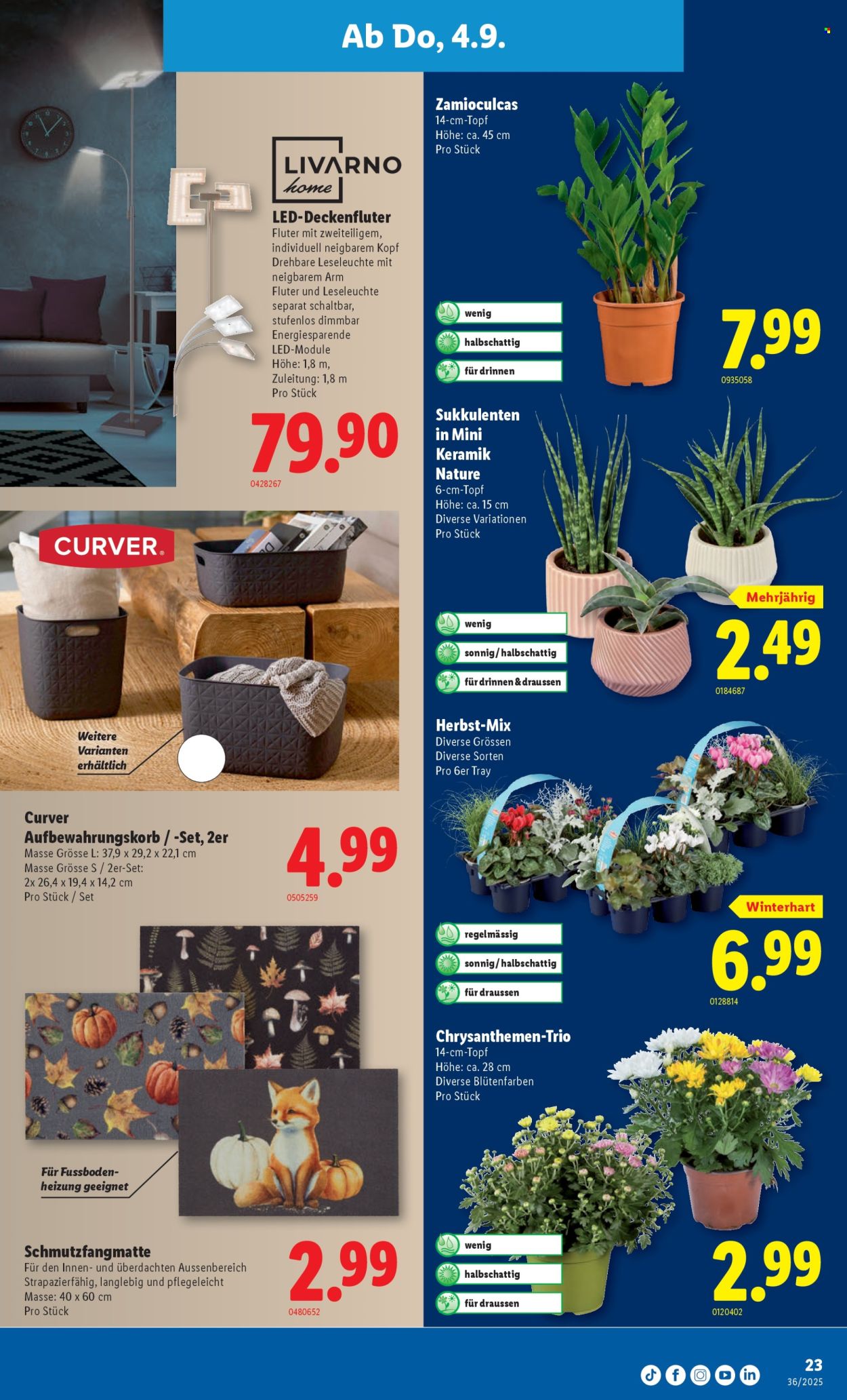 Catalogue Lidl - 4.9.2025 - 10.9.2025. Page 25