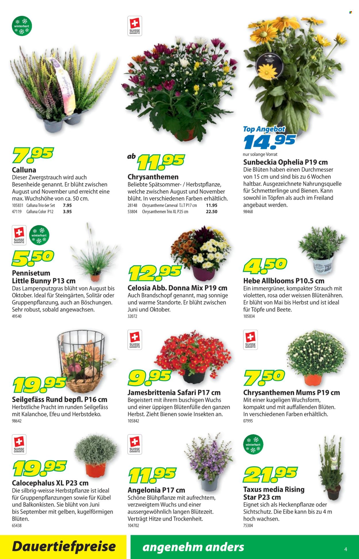 Catalogue Landi - 1.9.2025 - 14.9.2025. Page 8