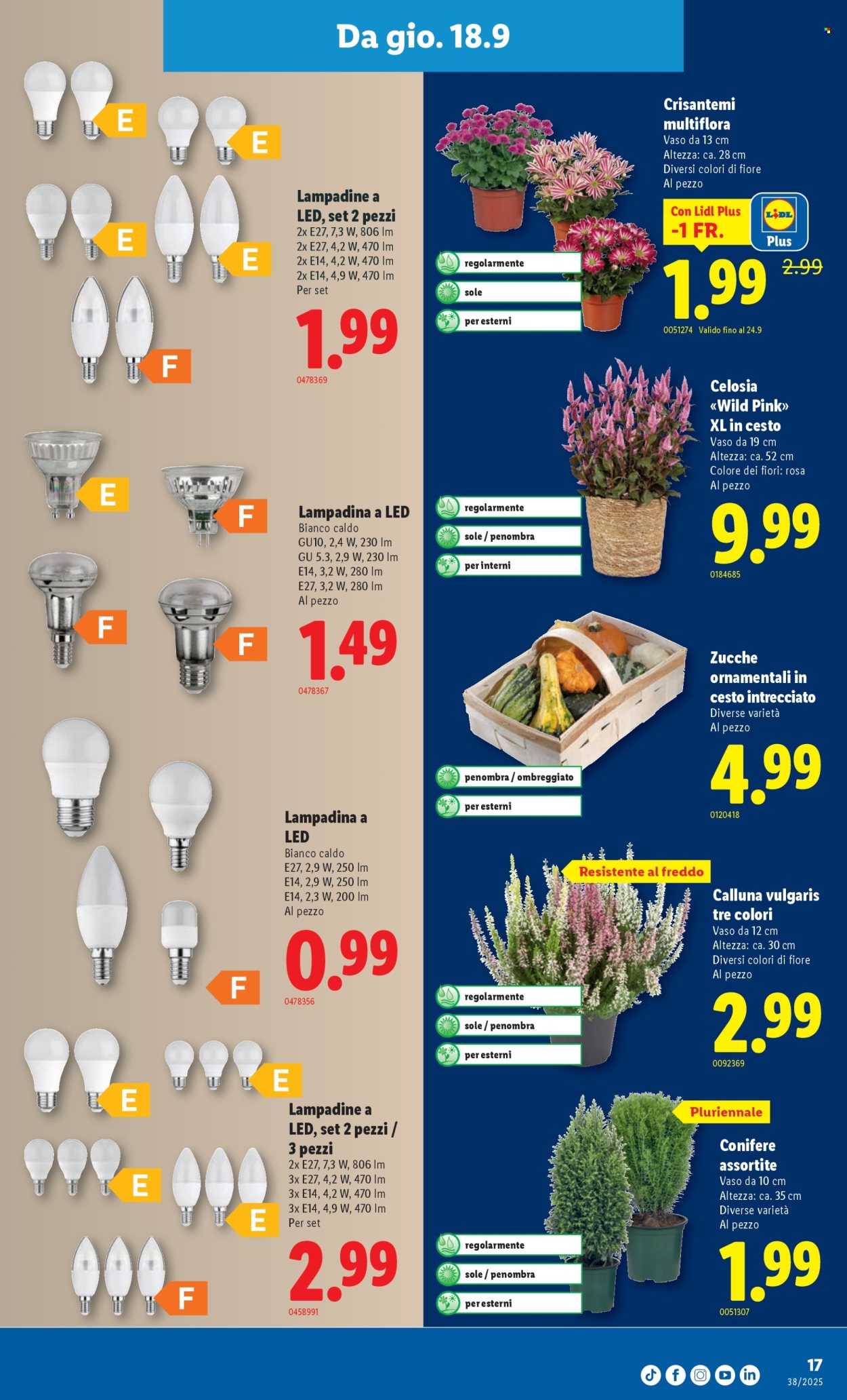 Volantino Lidl - 18.9.2025 - 24.9.2025. Pagina 17