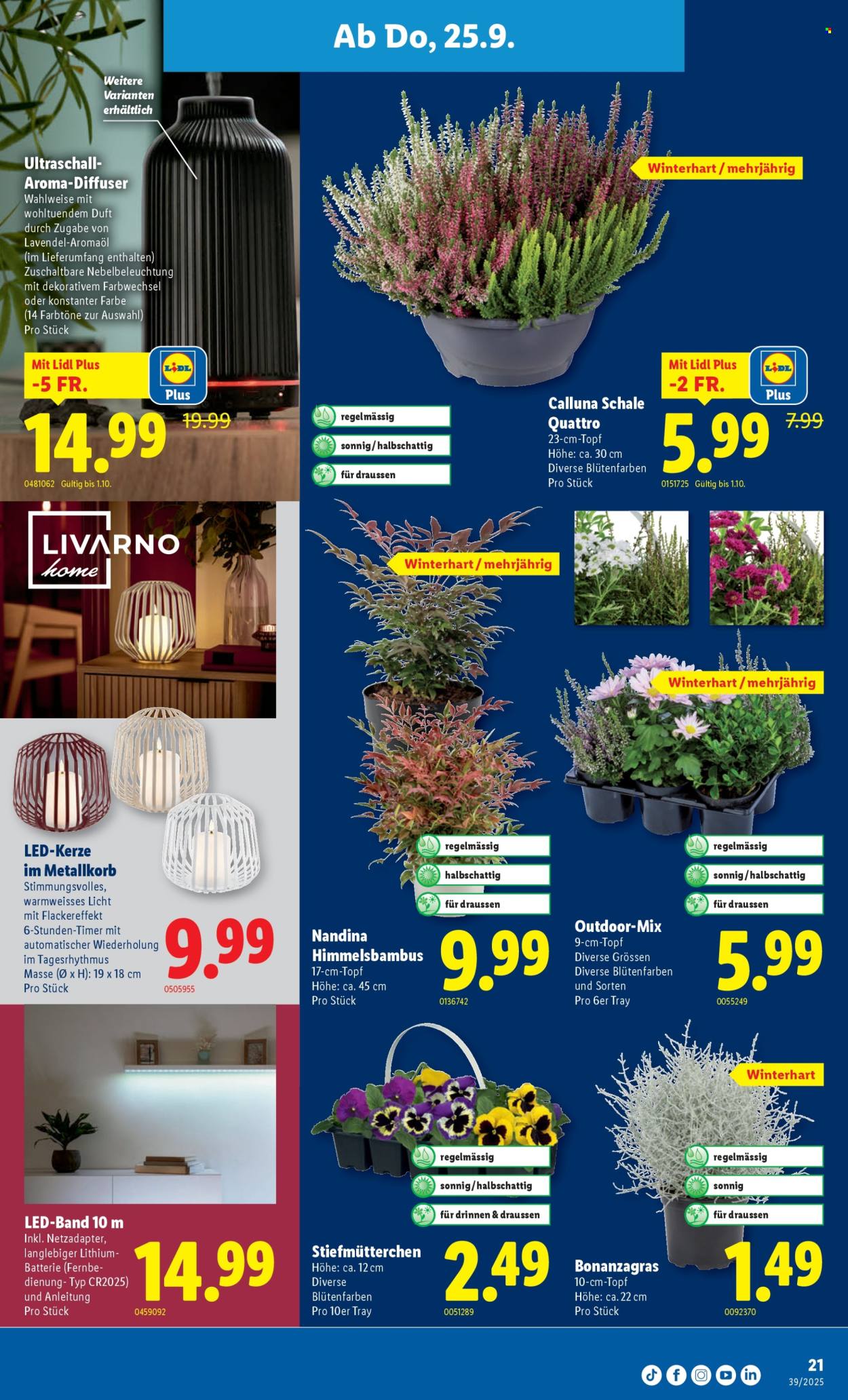 Volantino Lidl - 25.9.2025 - 1.10.2025. Pagina 21