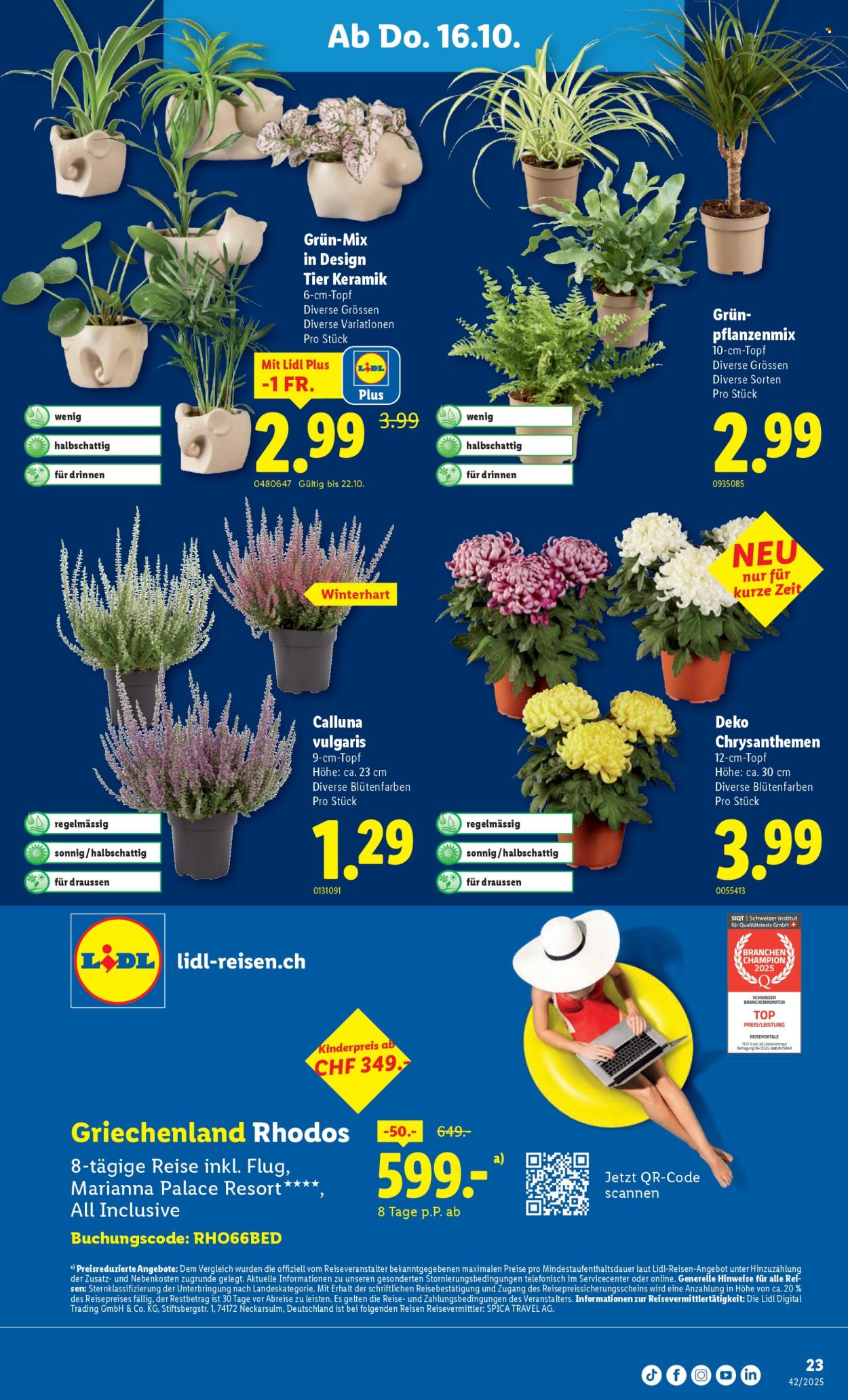 Volantino Lidl - 16.10.2025 - 22.10.2025. Pagina 23