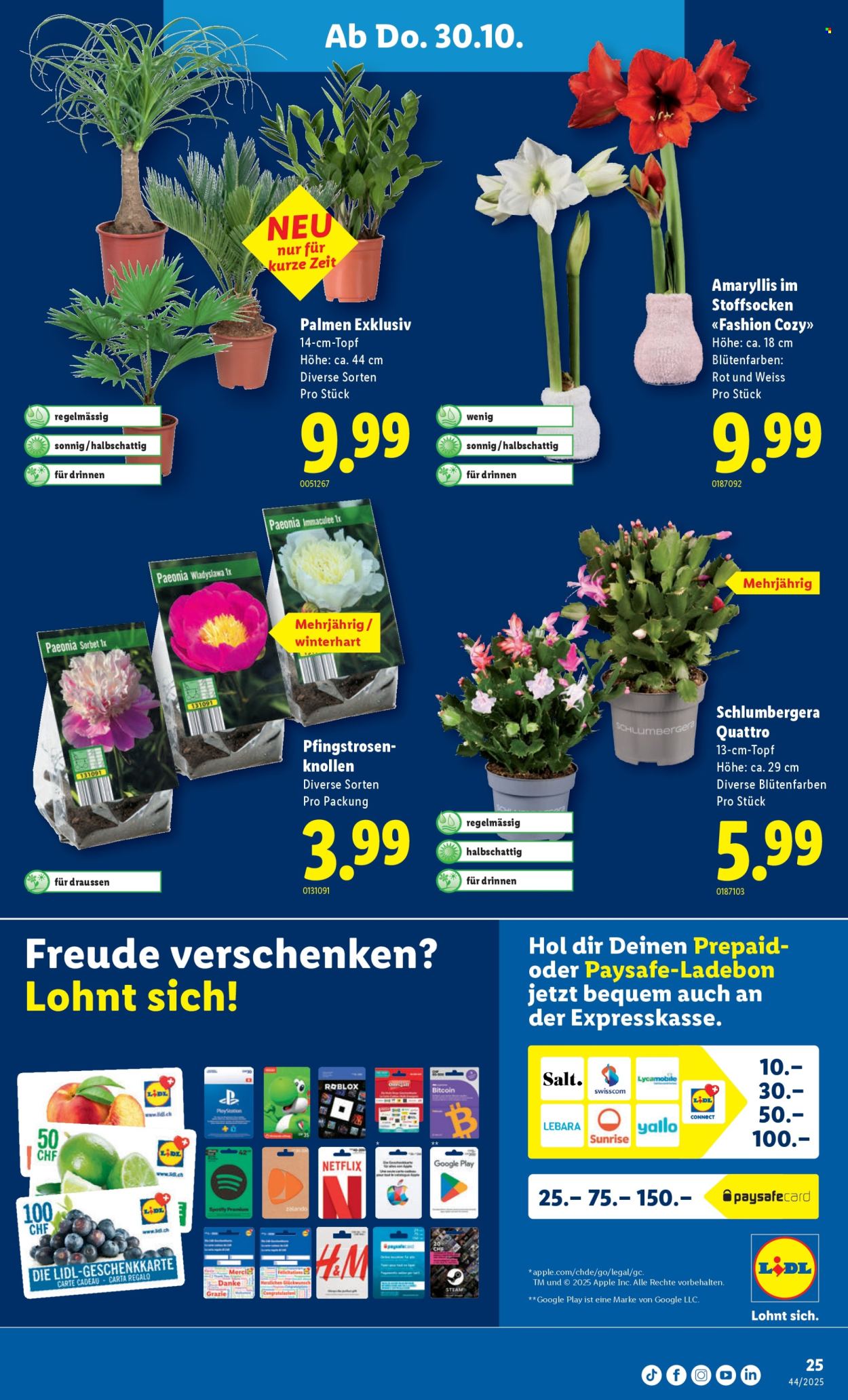 Volantino Lidl - 30.10.2025 - 5.11.2025. Pagina 25