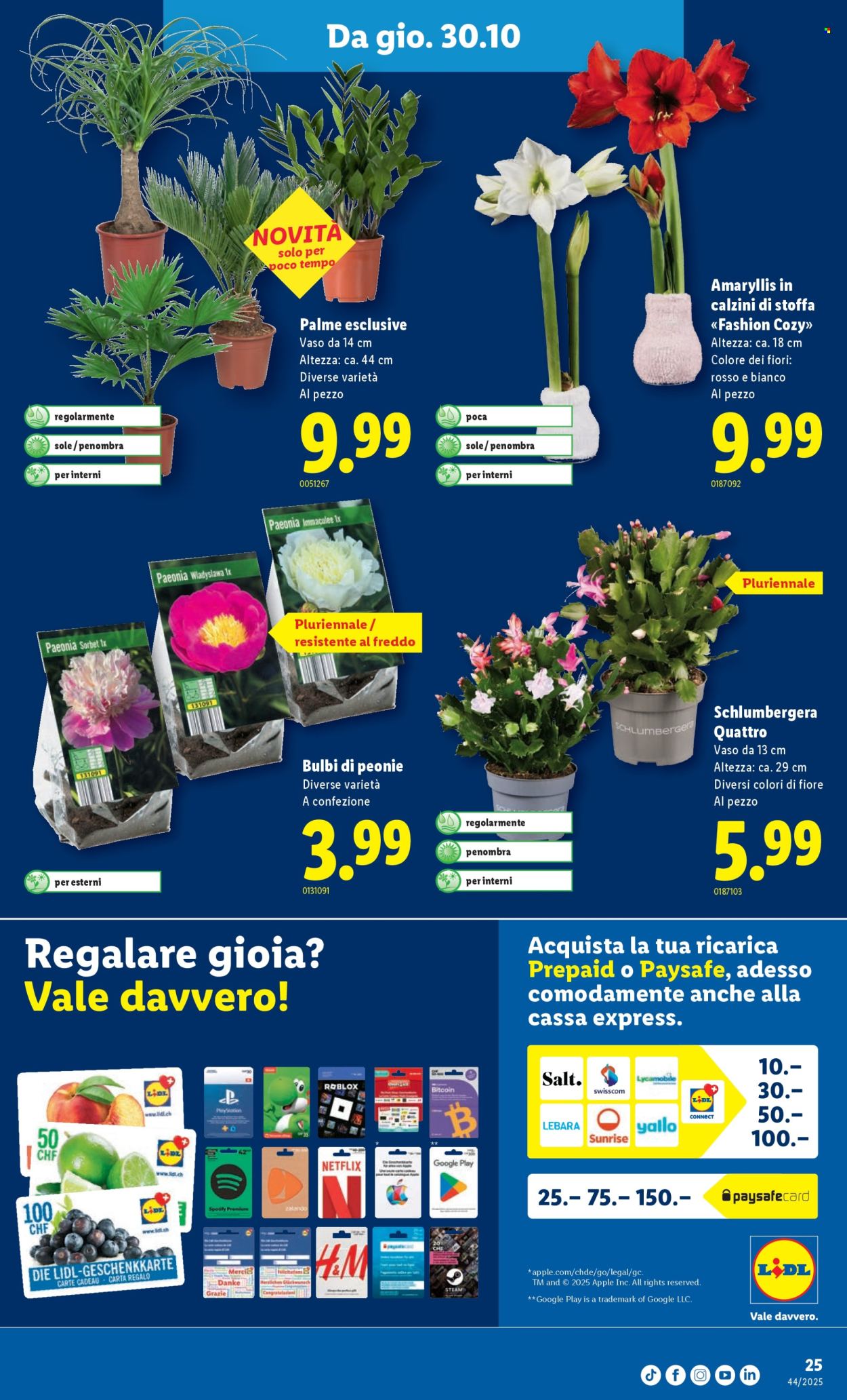 Volantino Lidl - 30.10.2025 - 5.11.2025. Pagina 25