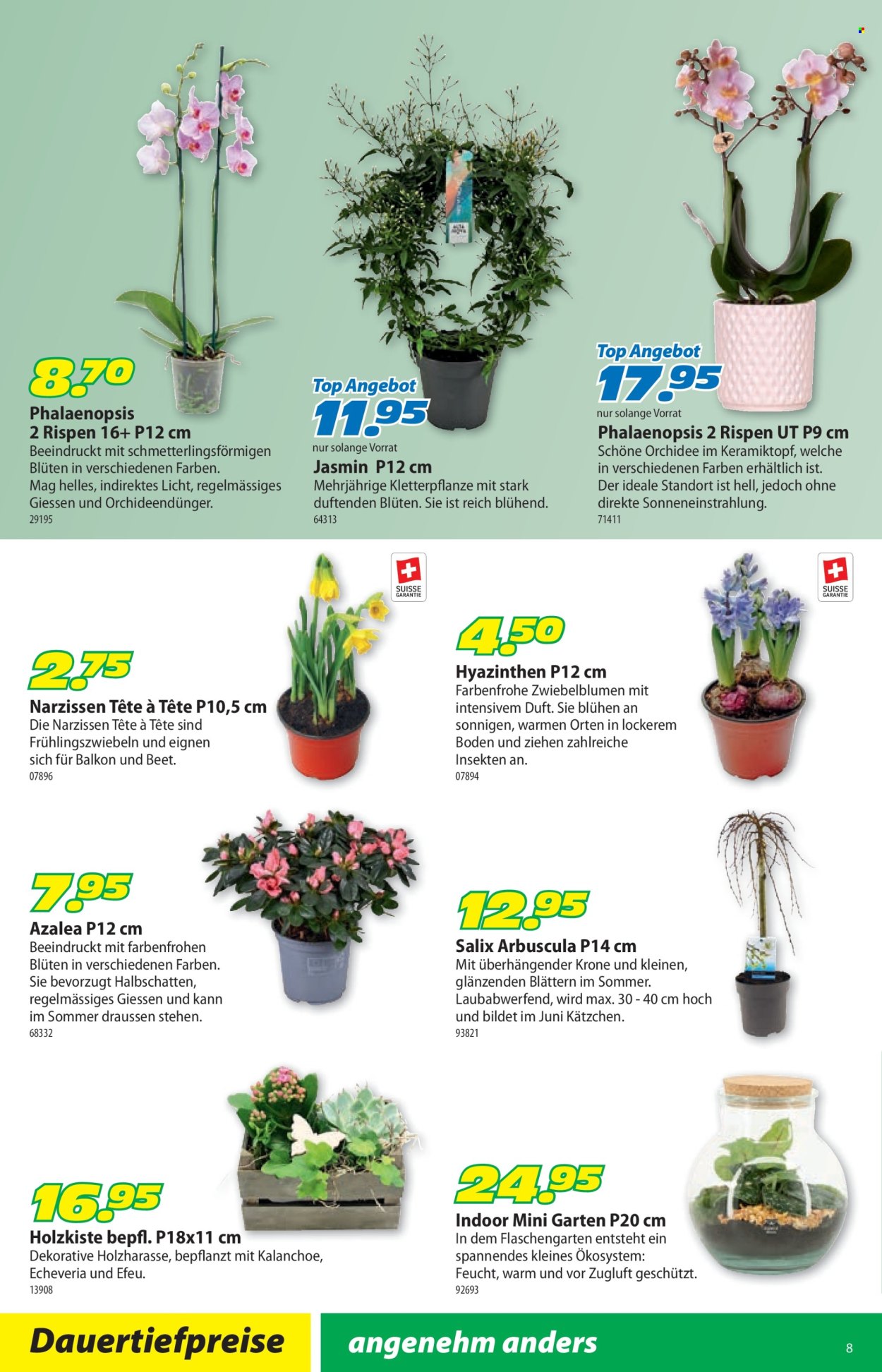 Catalogue Landi - 5.1.2026 - 18.1.2026. Page 12