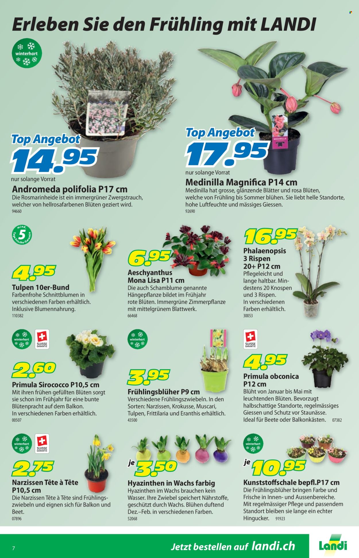 Catalogue Landi - 19.1.2026 - 1.2.2026. Page 11