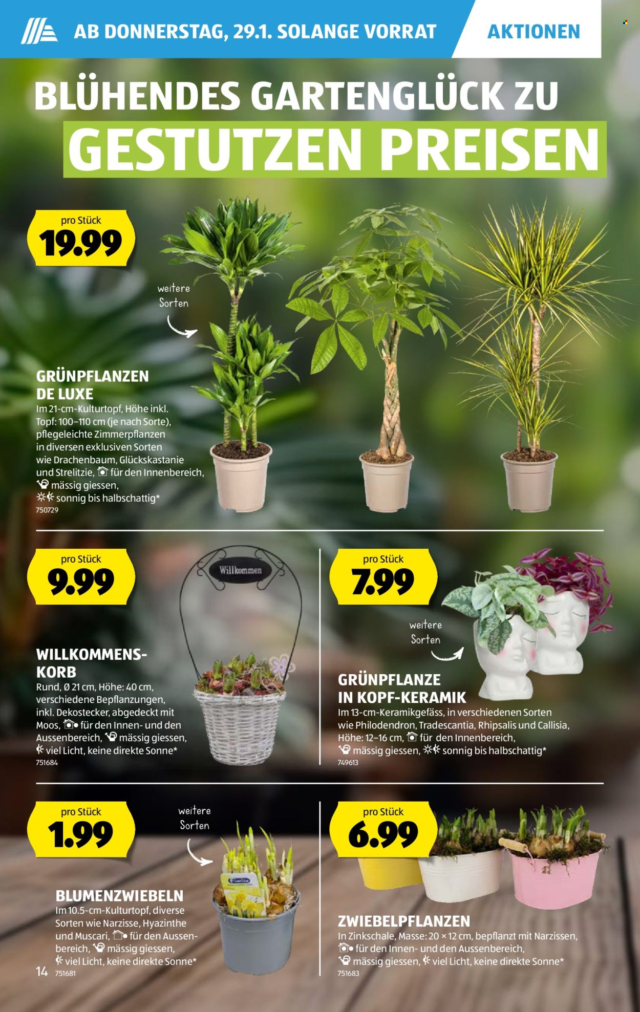 Volantino Aldi - 29.1.2026 - 4.2.2026. Pagina 14