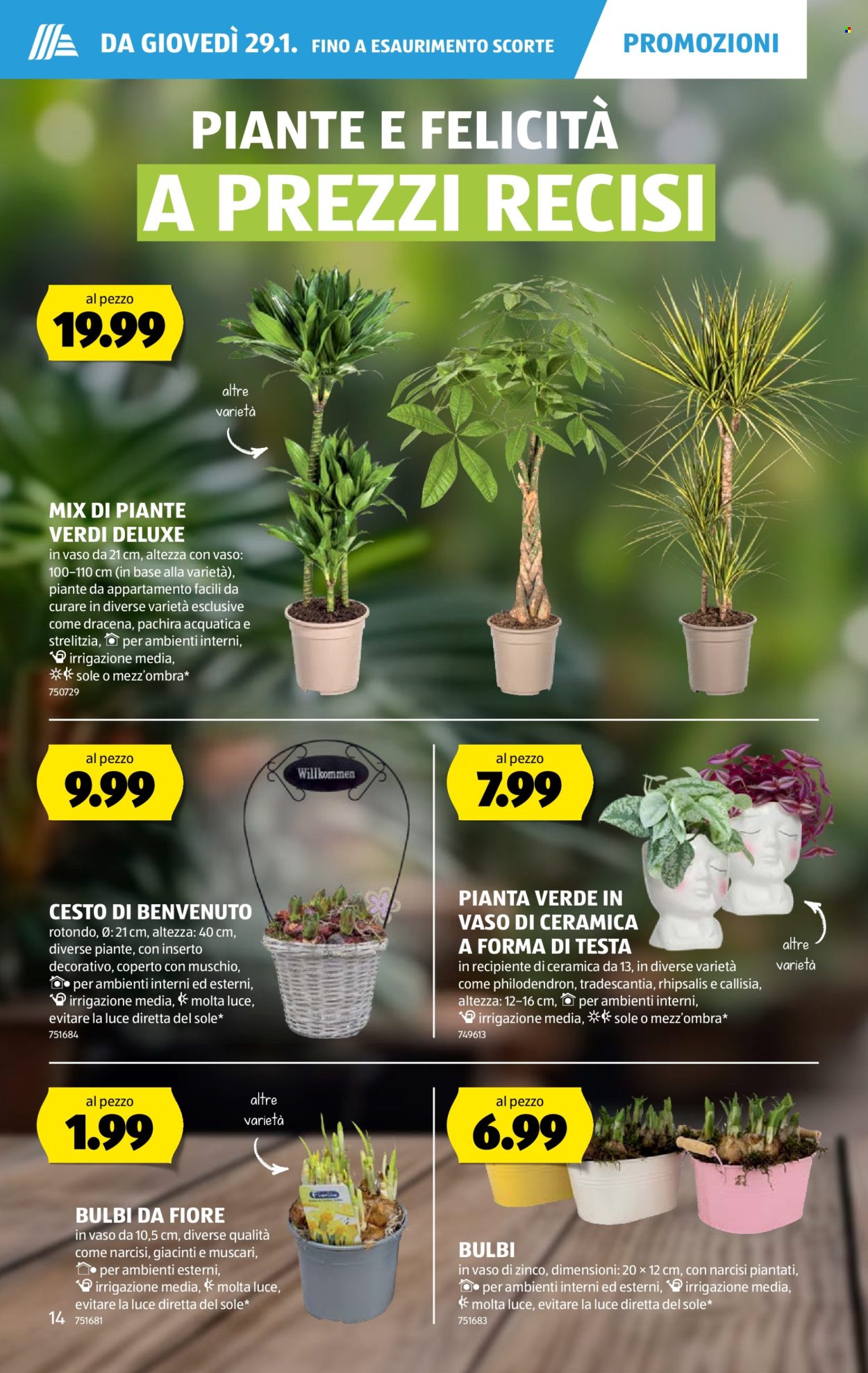 Catalogue Aldi - 29.1.2026 - 4.2.2026. Page 14