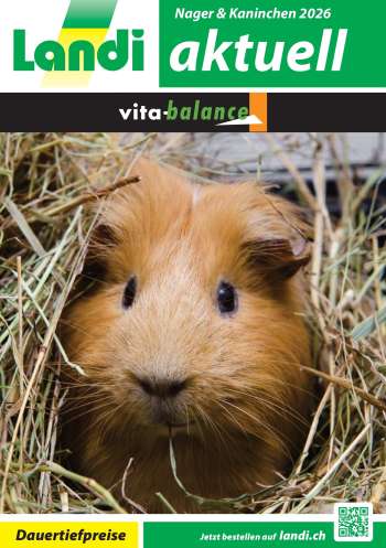 Volantino Landi - 30.1.2026 - 28.2.2026.