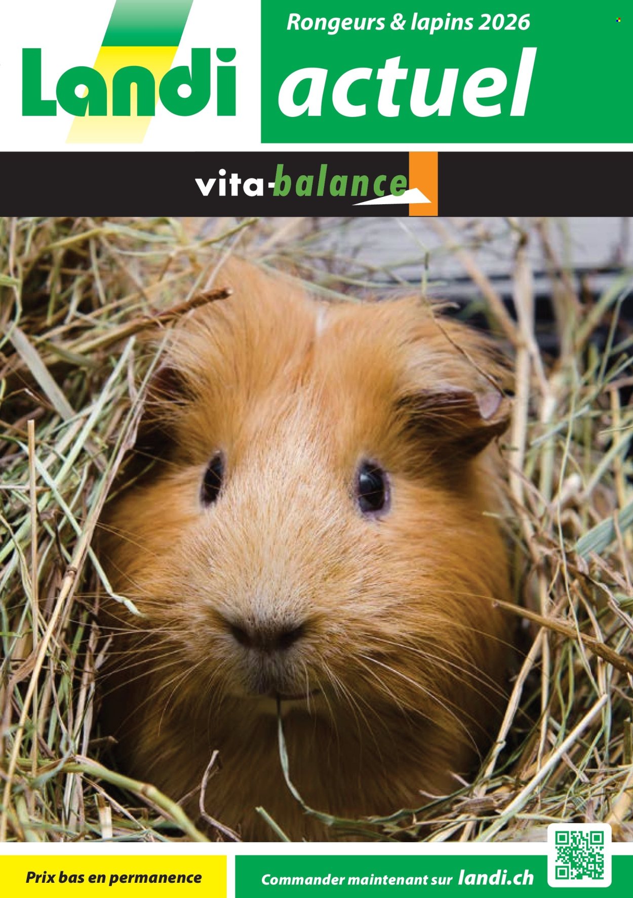 Volantino Landi - 30.1.2026 - 28.2.2026. Pagina 1