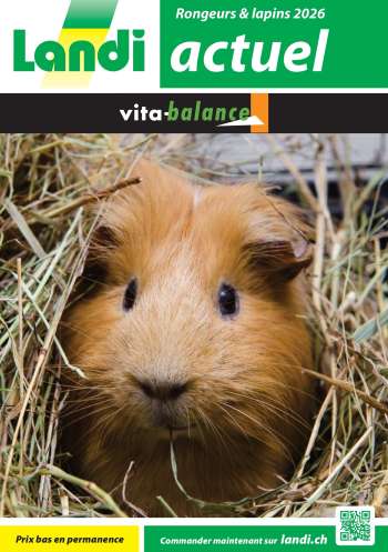 Volantino Landi - 30.1.2026 - 28.2.2026.