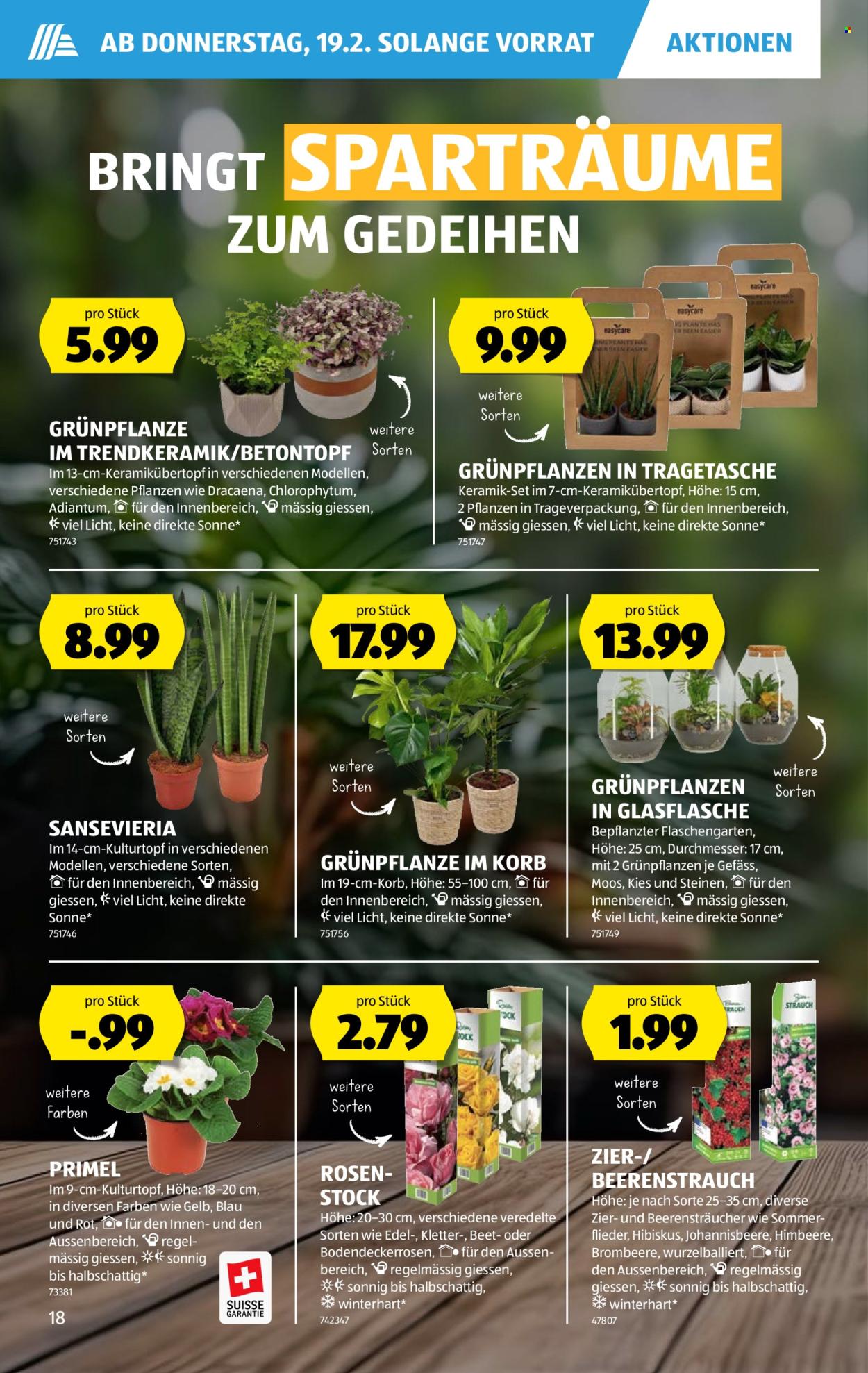 Volantino Aldi - 19.2.2026 - 25.2.2026. Pagina 18