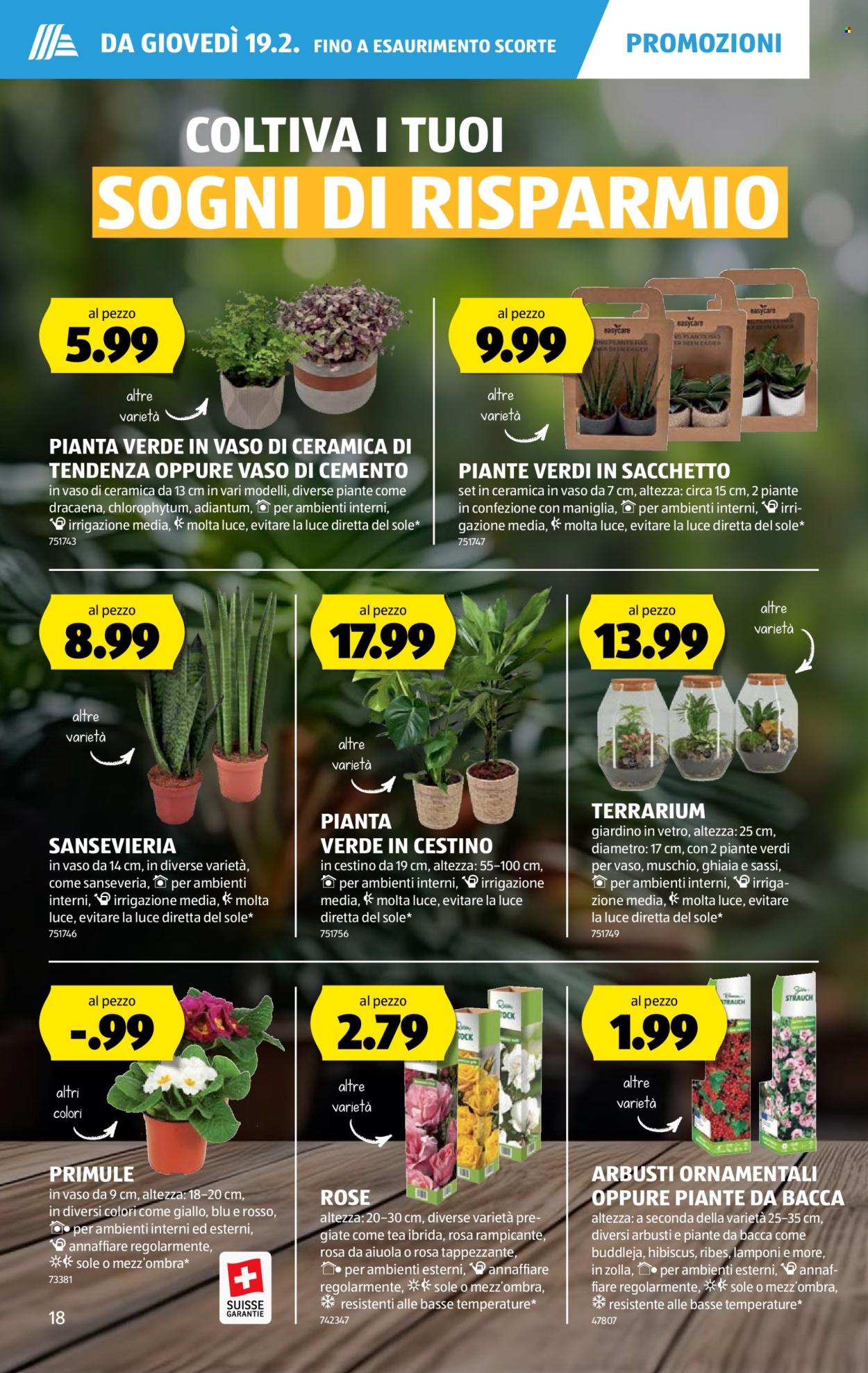 Volantino Aldi - 19.2.2026 - 25.2.2026. Pagina 18