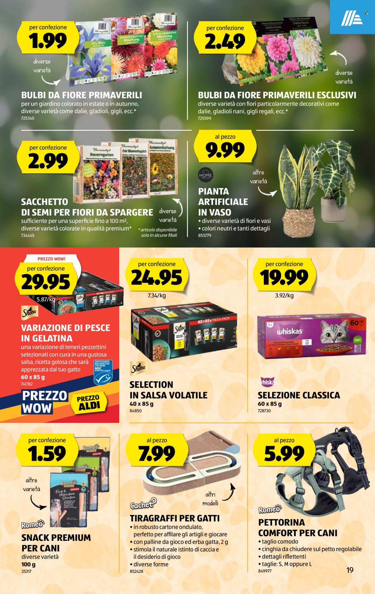 Volantino Aldi - 19.2.2026 - 25.2.2026. Pagina 19