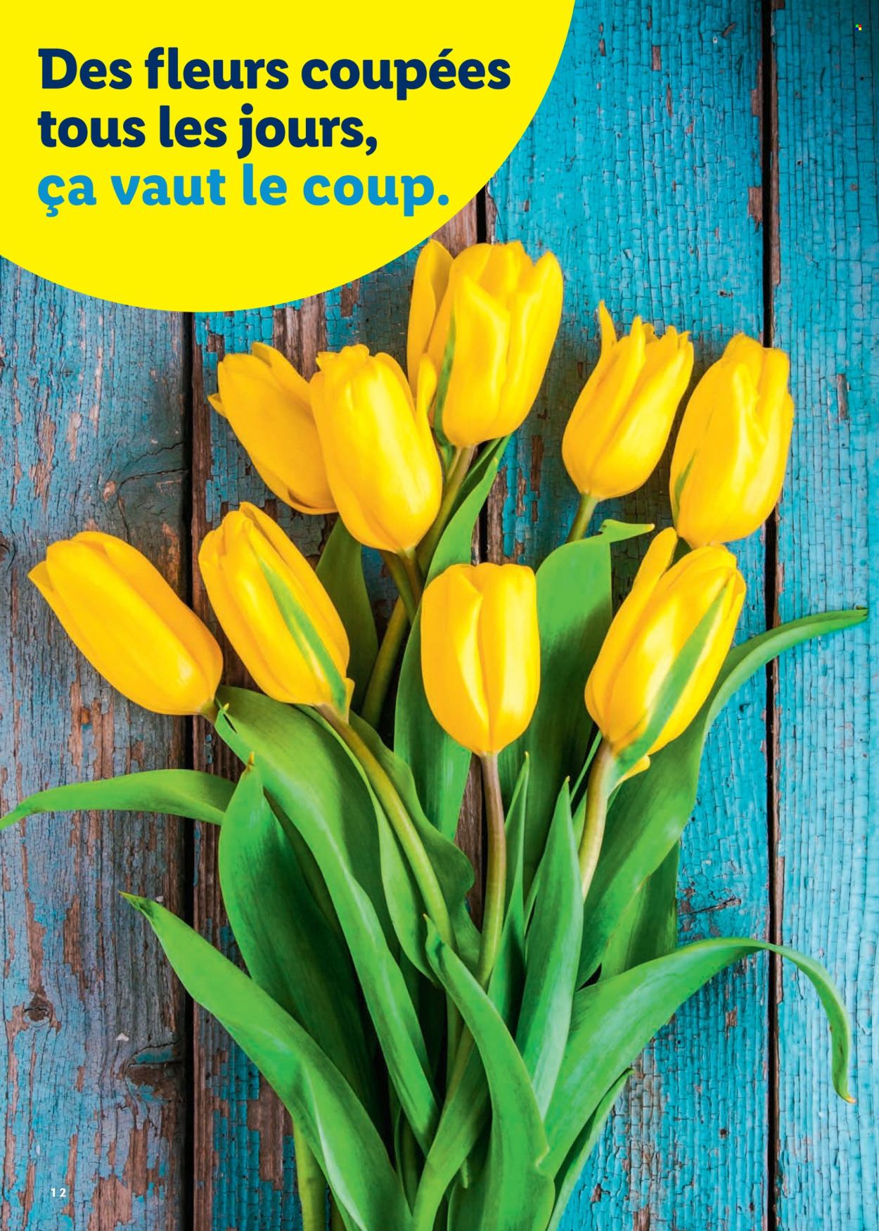 Volantino Lidl - 26.2.2026 - 4.4.2026. Pagina 12