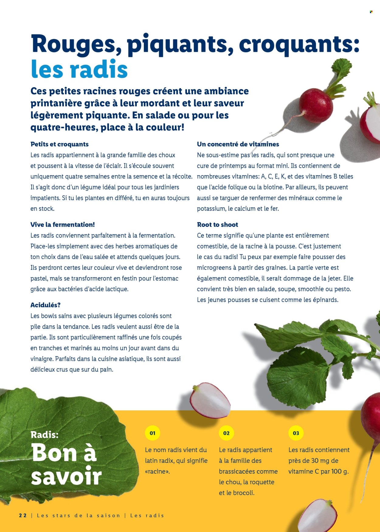 Volantino Lidl - 26.2.2026 - 4.4.2026. Pagina 22