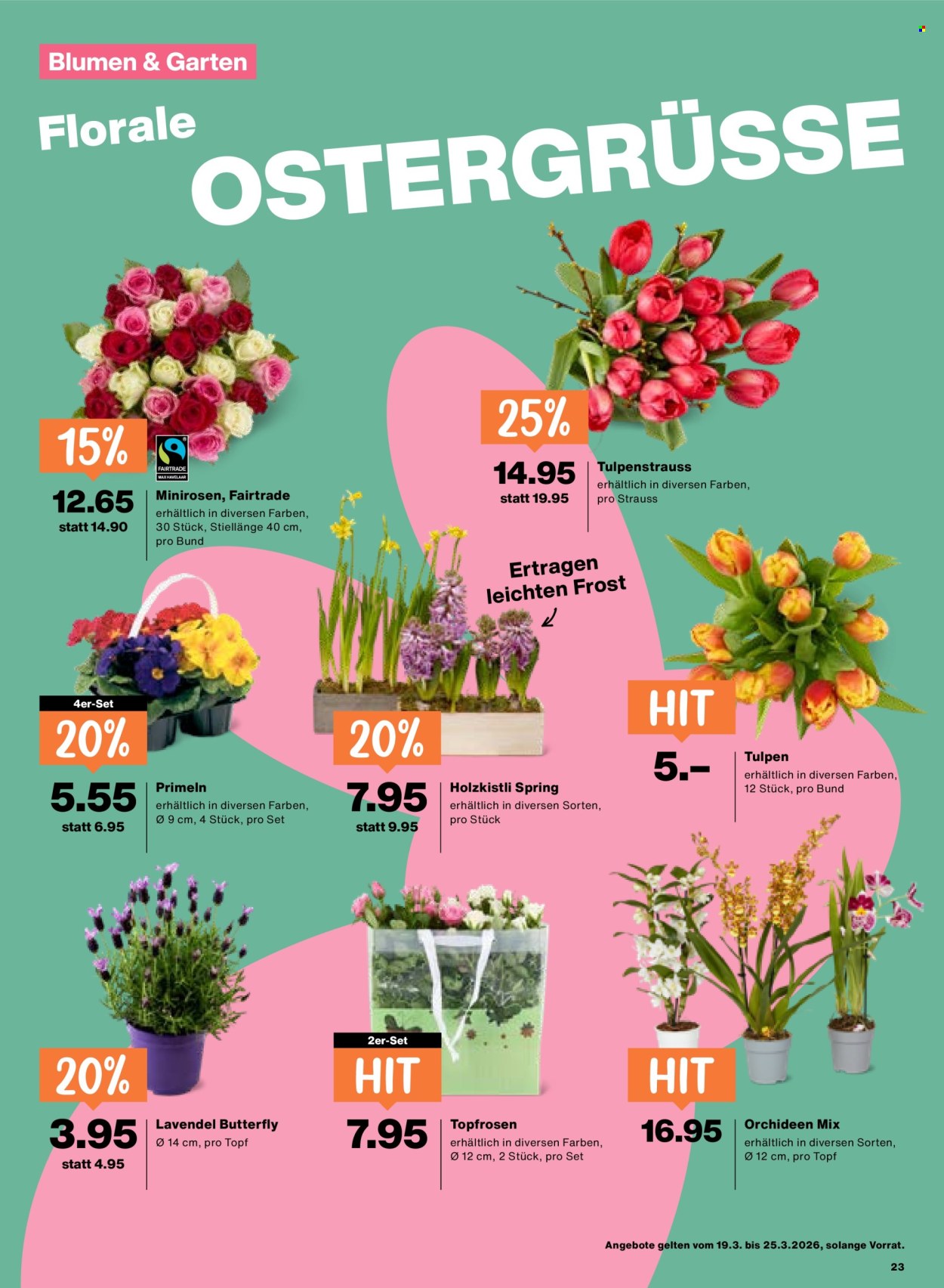 Prospekt Migros - 19.3.2026 - 25.3.2026. Seite 23