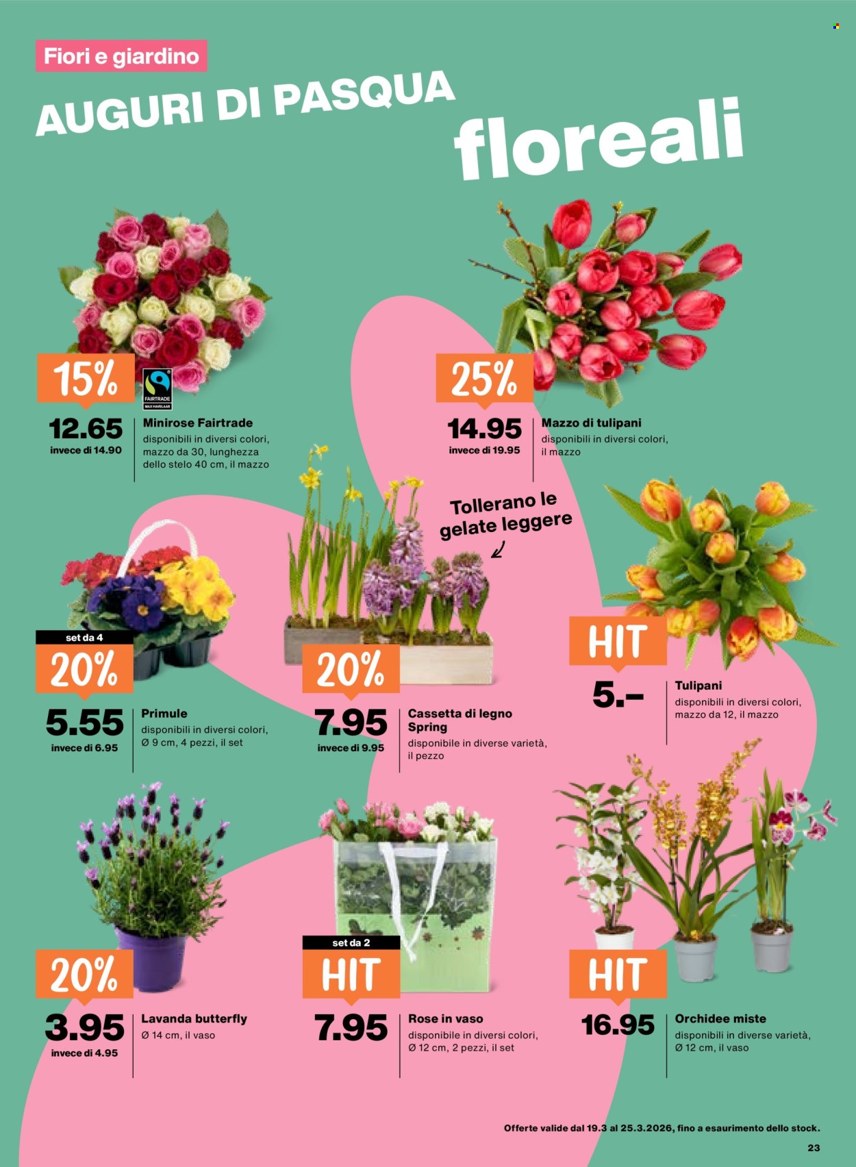 Prospekt Migros - 19.3.2026 - 25.3.2026. Seite 23