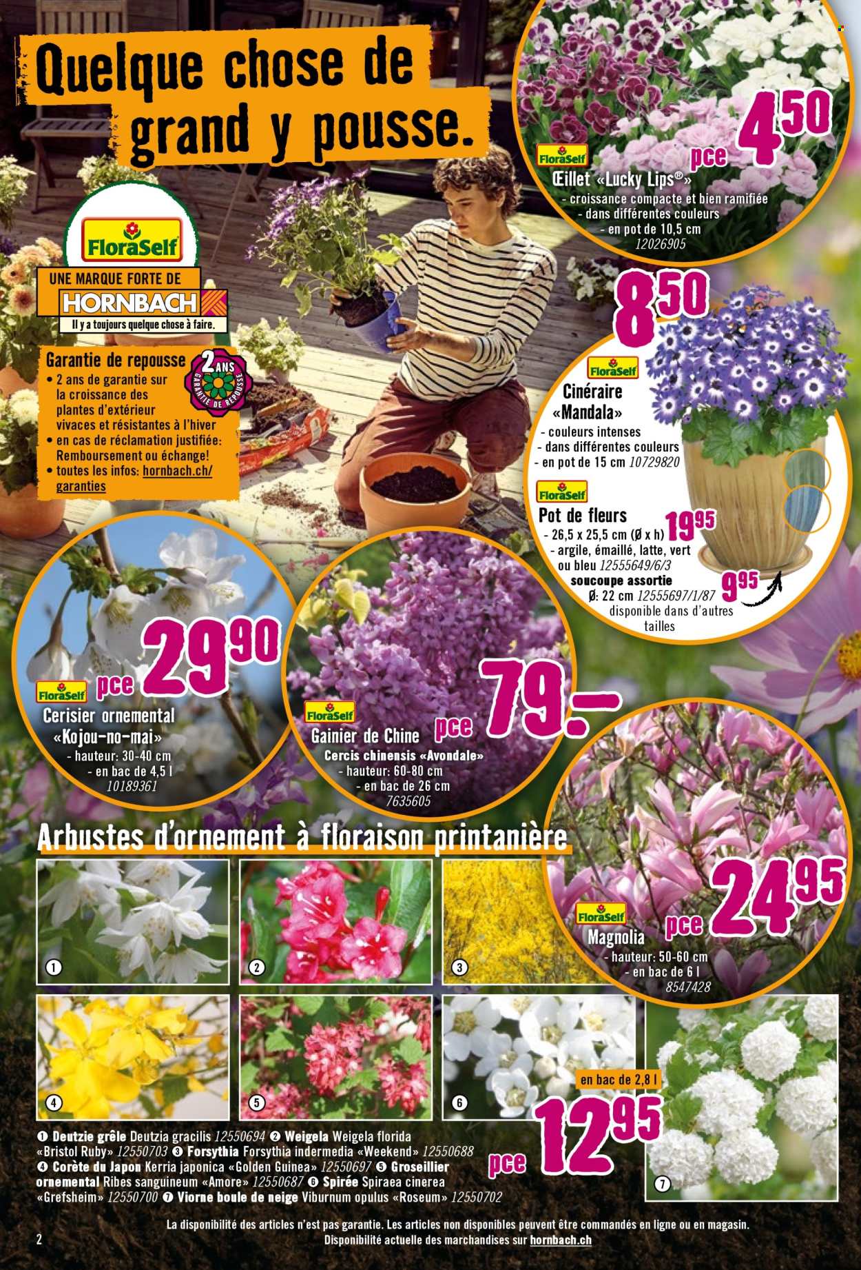 Prospekt Hornbach - 29.3.2026 - 20.4.2026. Seite 2