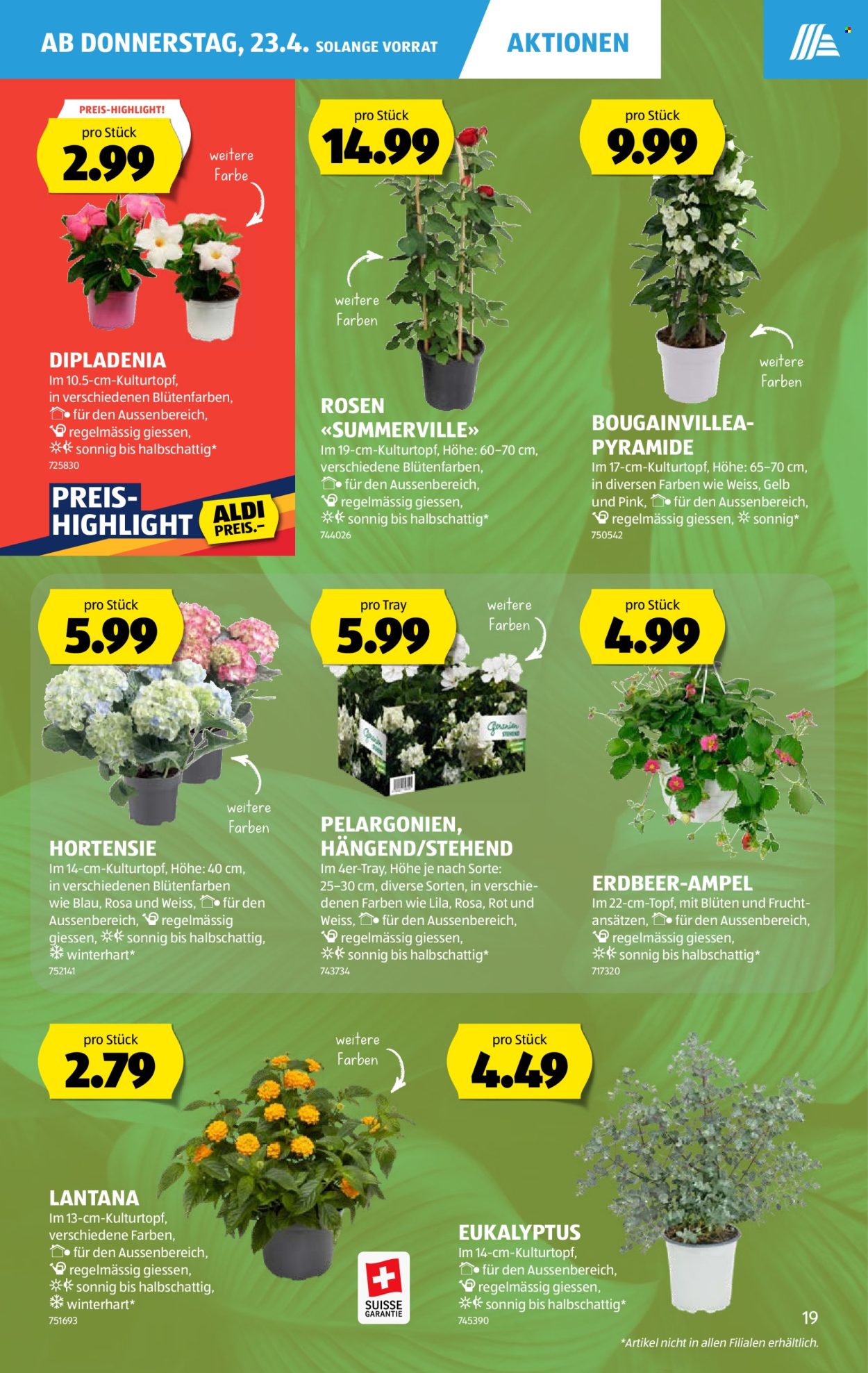 Catalogue Aldi - 23.4.2026 - 29.4.2026. Page 19