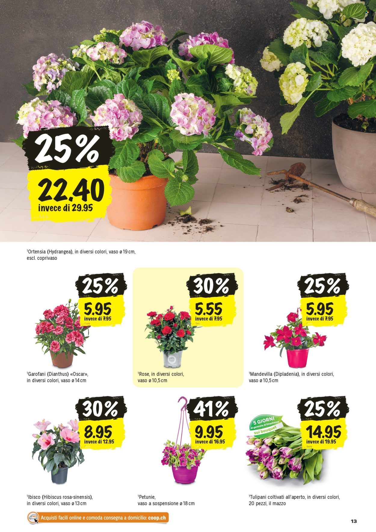 Volantino Coop - 16.4.2026 - 22.4.2026. Pagina 13