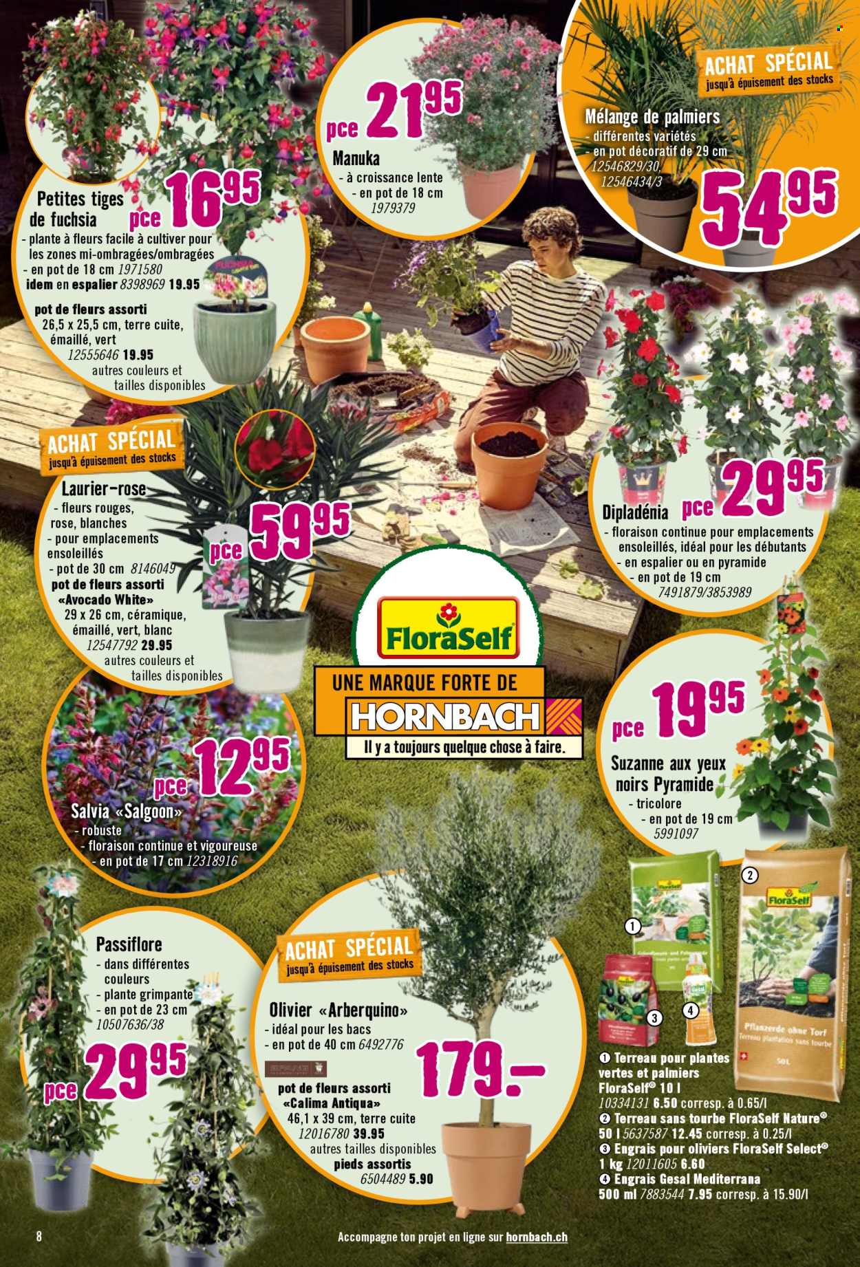 Prospekt Hornbach - 21.4.2026 - 18.5.2026. Seite 8
