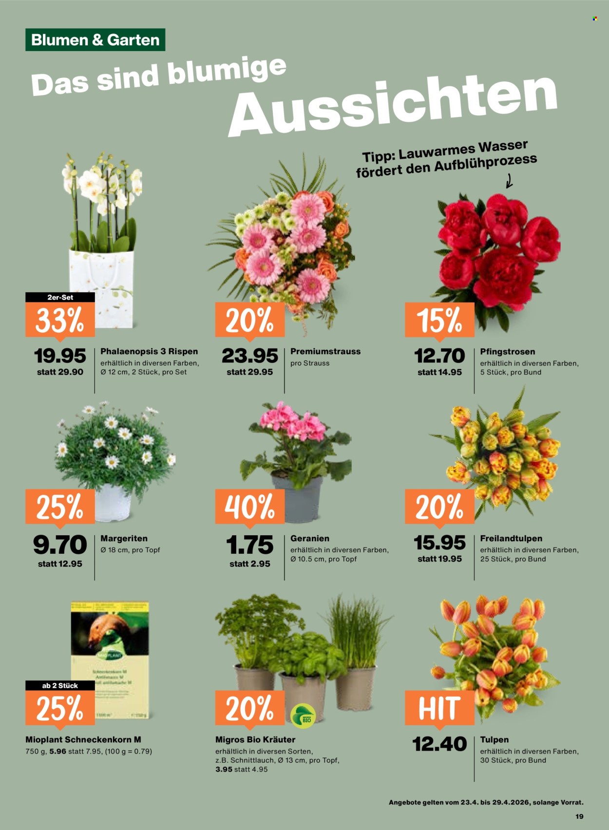Volantino Migros - 23.4.2026 - 29.4.2026. Pagina 19