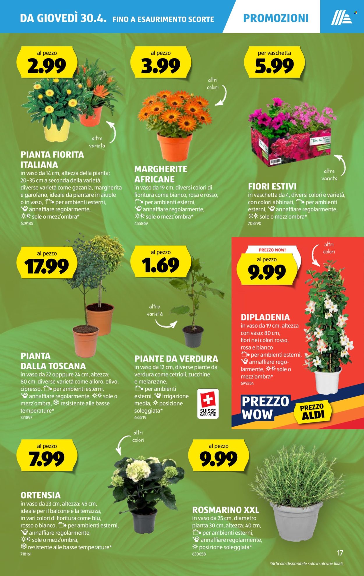 Catalogue Aldi - 30.4.2026 - 6.5.2026. Page 17