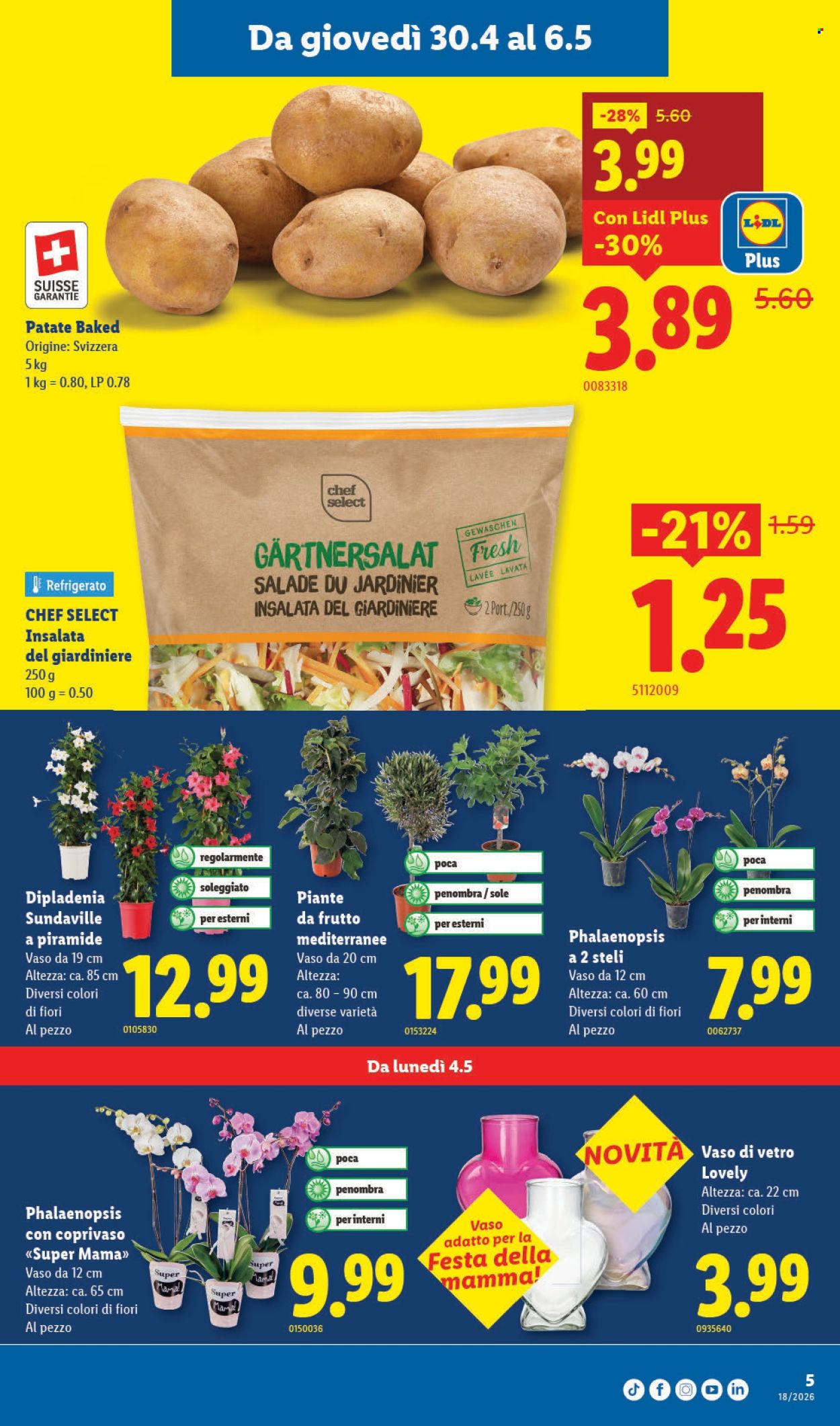 Prospekt Lidl - 30.4.2026 - 6.5.2026. Seite 5