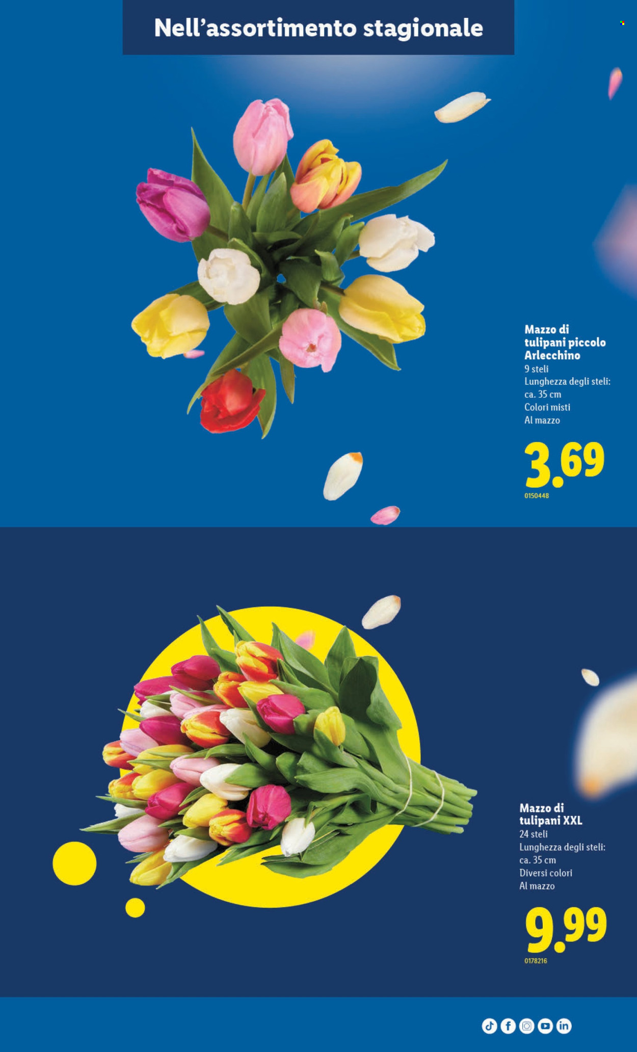 Prospekt Lidl - 30.4.2026 - 6.5.2026. Seite 7