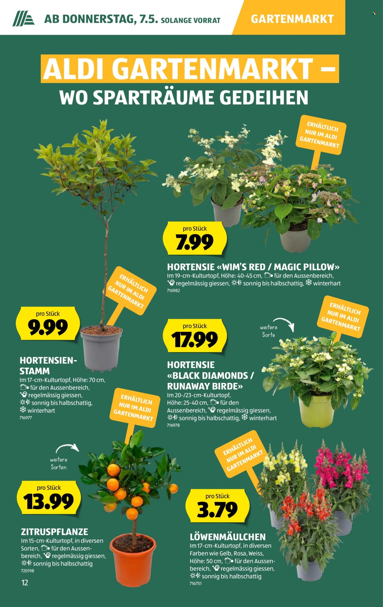 Catalogue Aldi - 7.5.2026 - 13.5.2026. Page 12