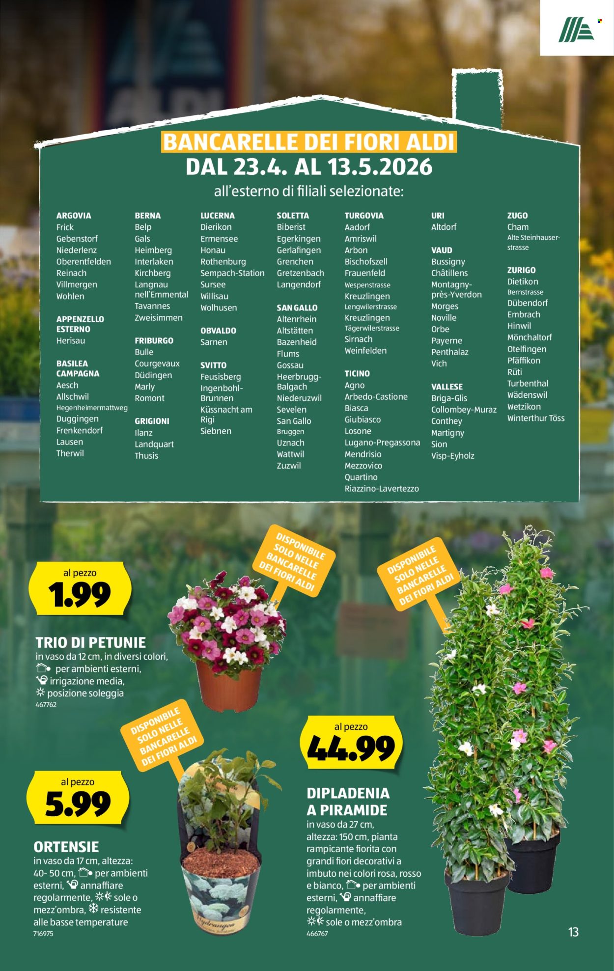 Catalogue Aldi - 7.5.2026 - 13.5.2026. Page 13