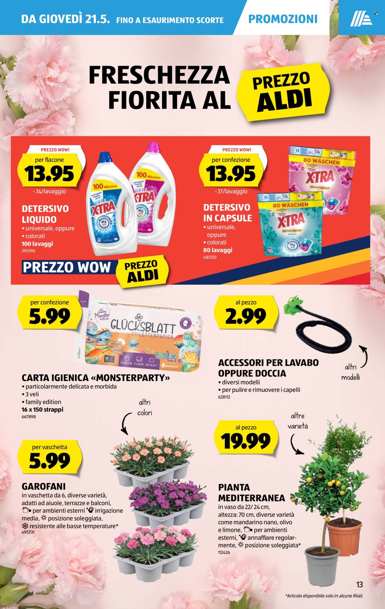Prospekt Aldi - 21.5.2026 - 27.5.2026. Seite 13