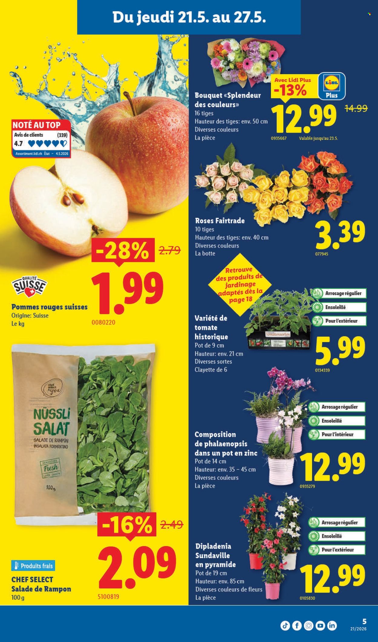 Volantino Lidl - 21.5.2026 - 27.5.2026. Pagina 5
