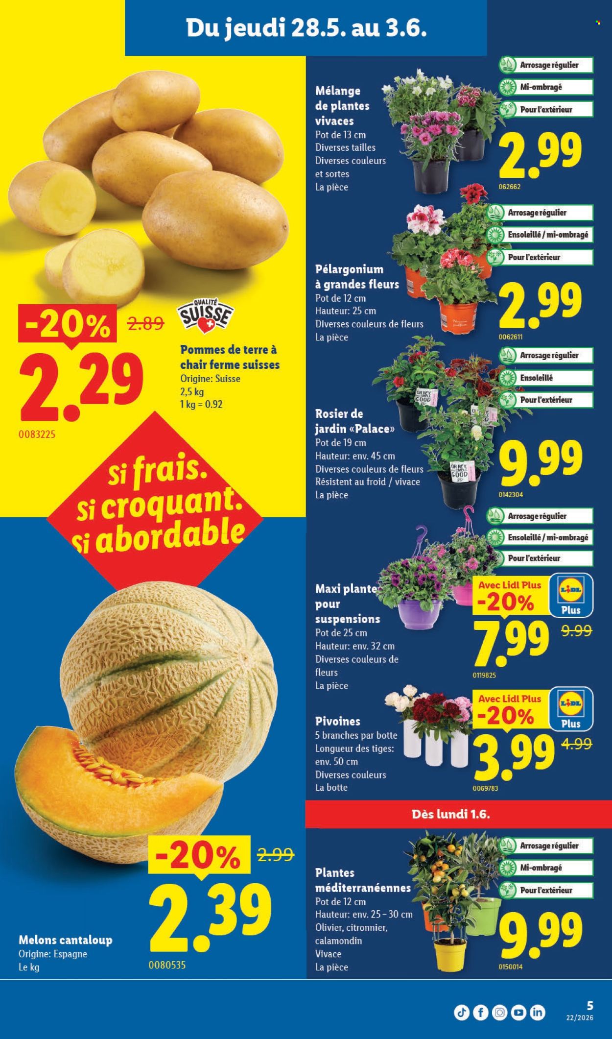 Volantino Lidl - 28.5.2026 - 3.6.2026. Pagina 5
