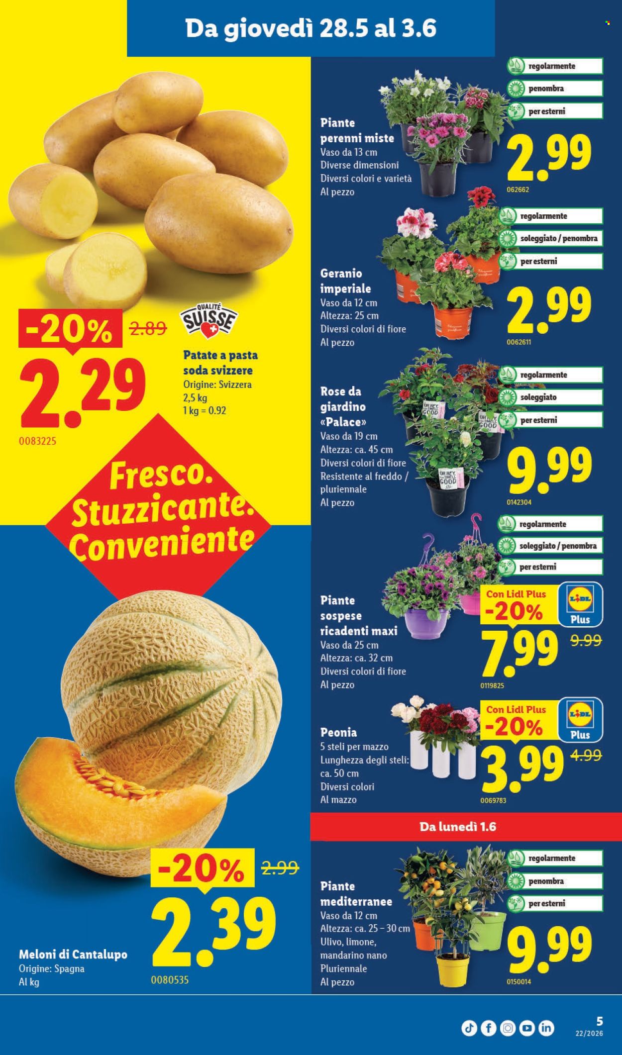 Volantino Lidl - 28.5.2026 - 3.6.2026. Pagina 5