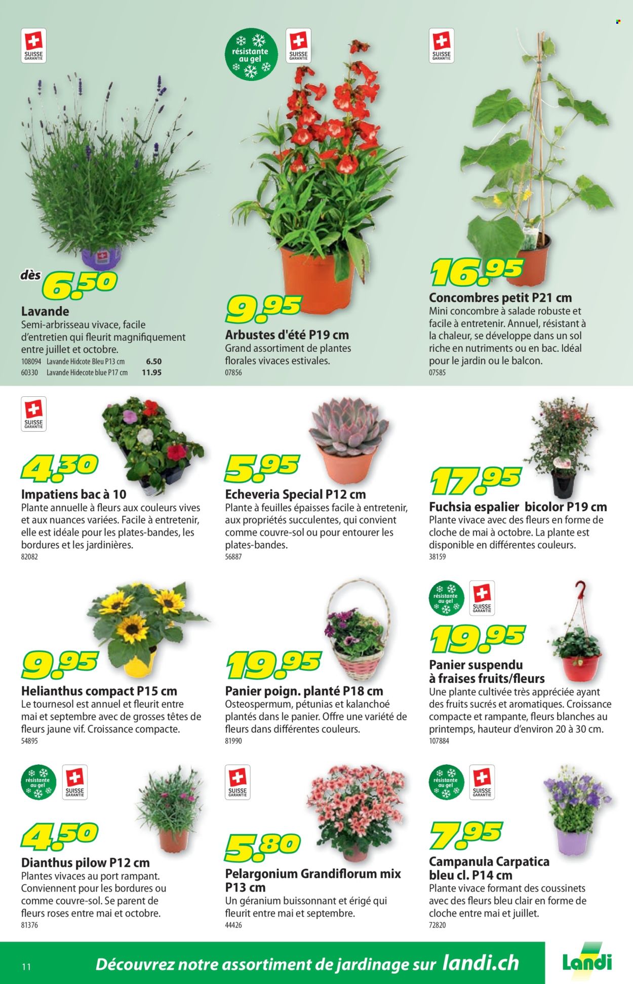 Volantino Landi - 25.5.2026 - 7.6.2026. Pagina 15
